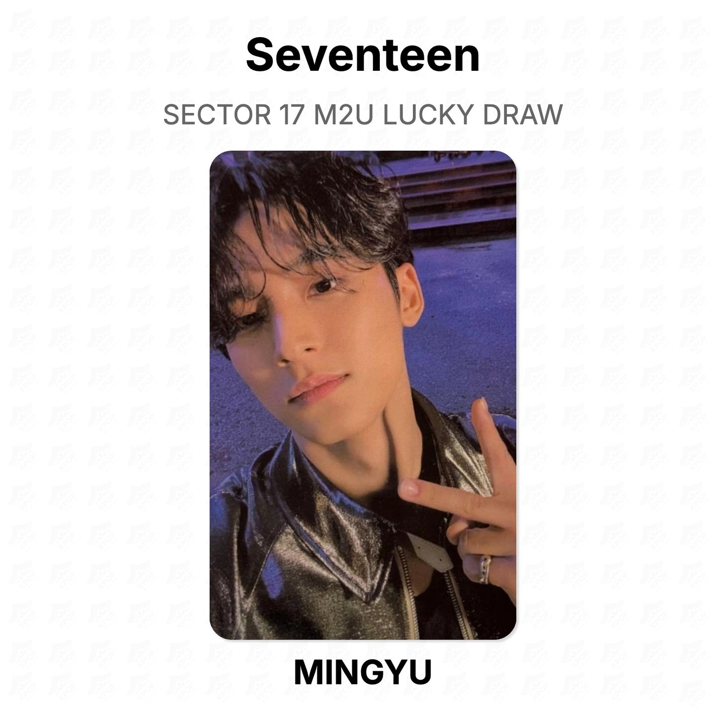 Seventeen SECTOR 17 M2U LUCKY DRAW Offizielle Photocard