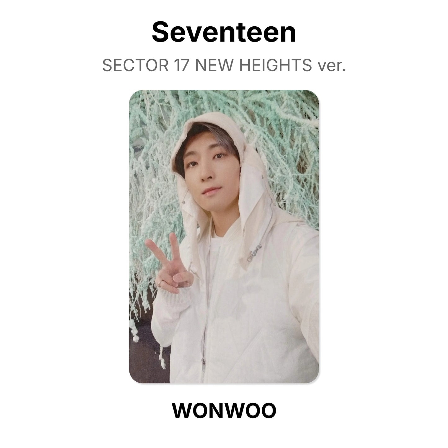 Seventeen SECTOR 17 NEW HEIGHTS ver. photocard oficial