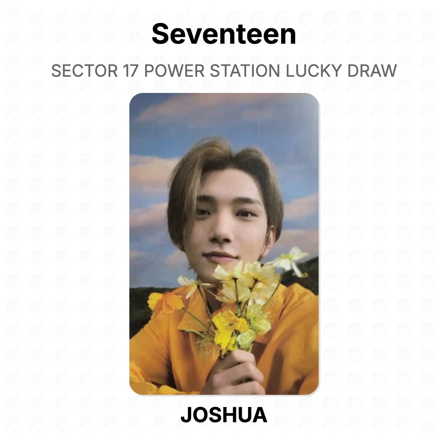 Seventeen SECTOR 17 POWER STATION LUCKY DRAW Official Photocard