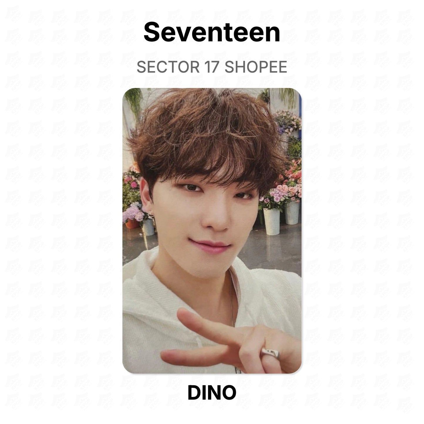 Seventeen SECTOR 17 SHOPEE Official Photocard