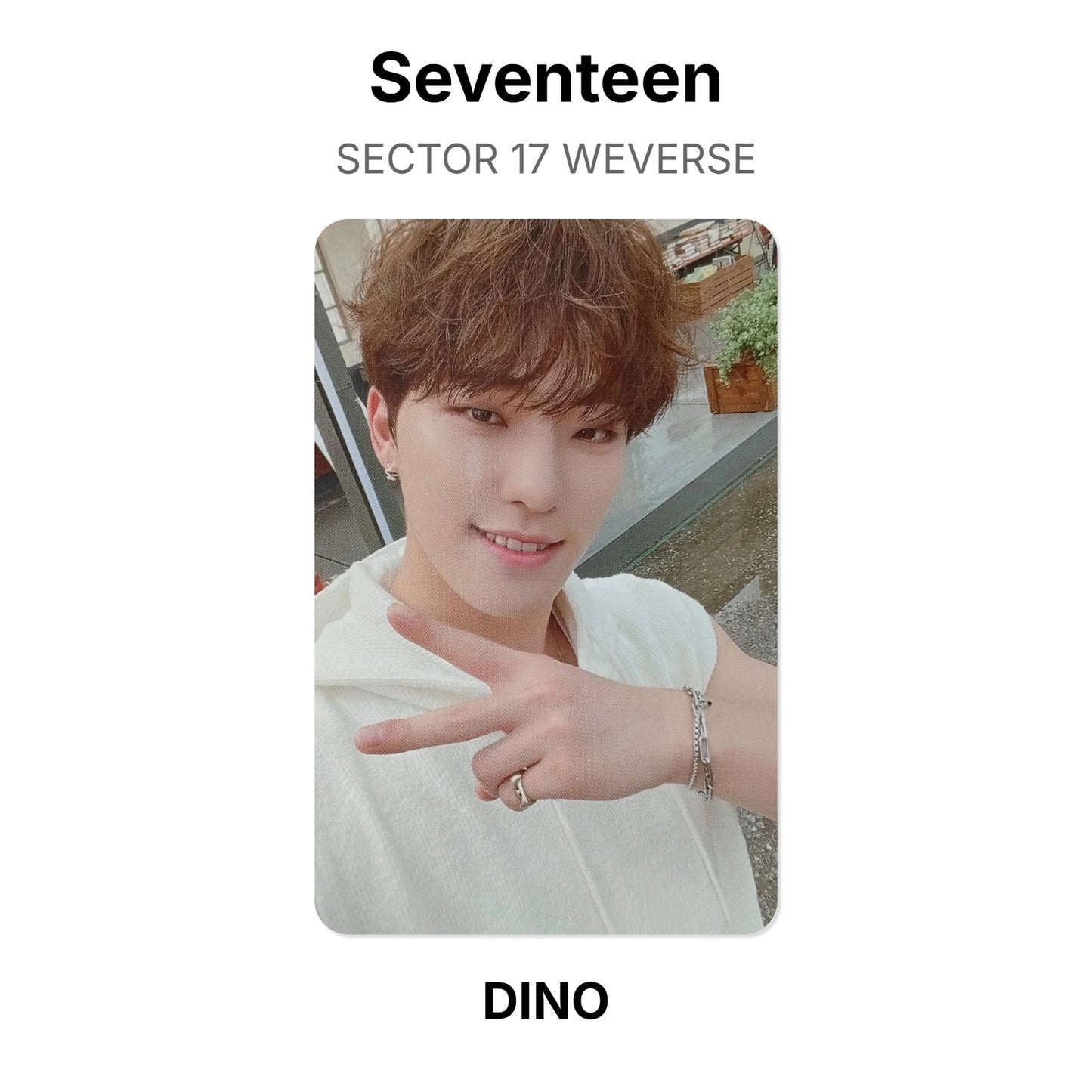 Seventeen SECTOR 17 WEVERSE Offizielle Photocard