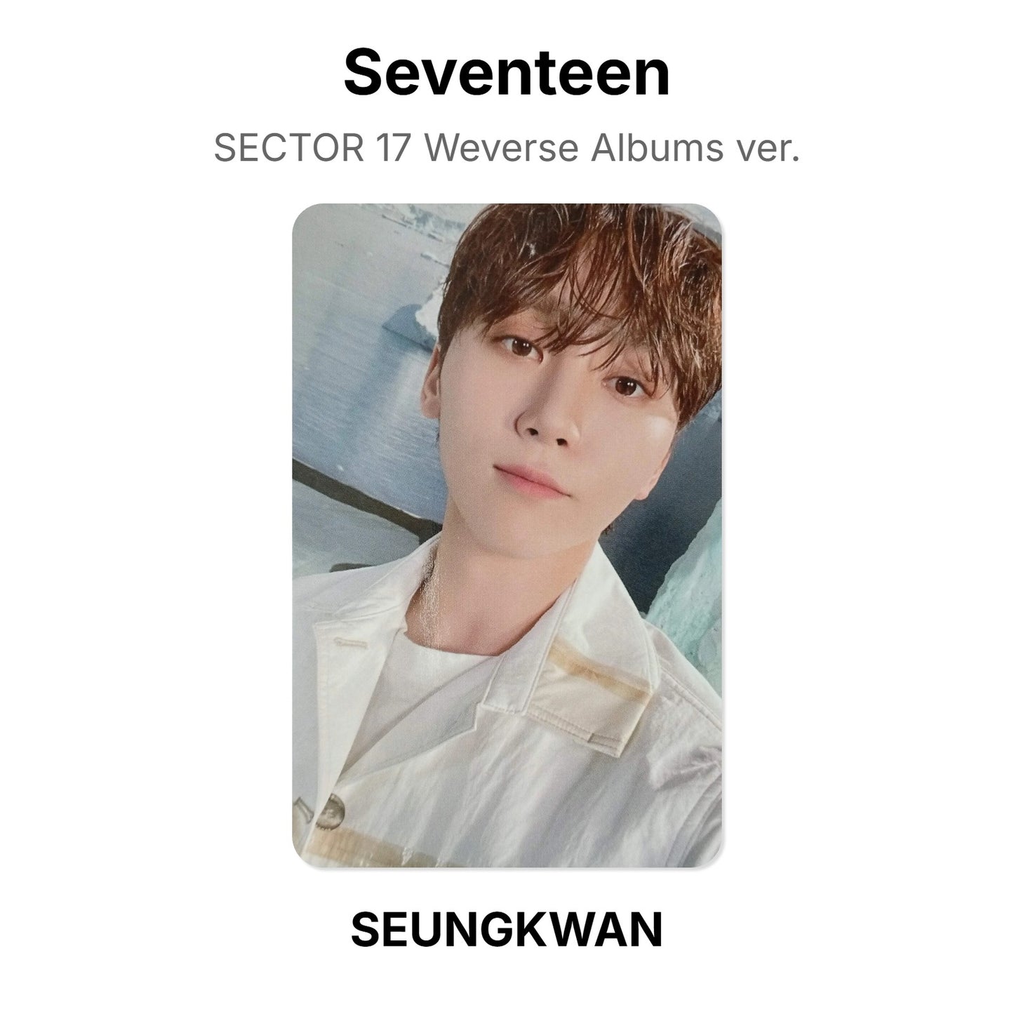 Seventeen SECTOR 17 Weverse Albums ver. photocard oficial
