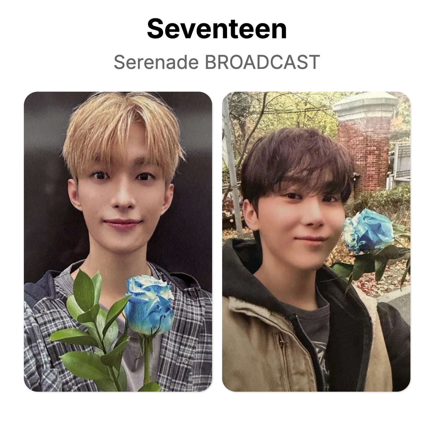 Seventeen Serenade BROADCAST photocard oficial