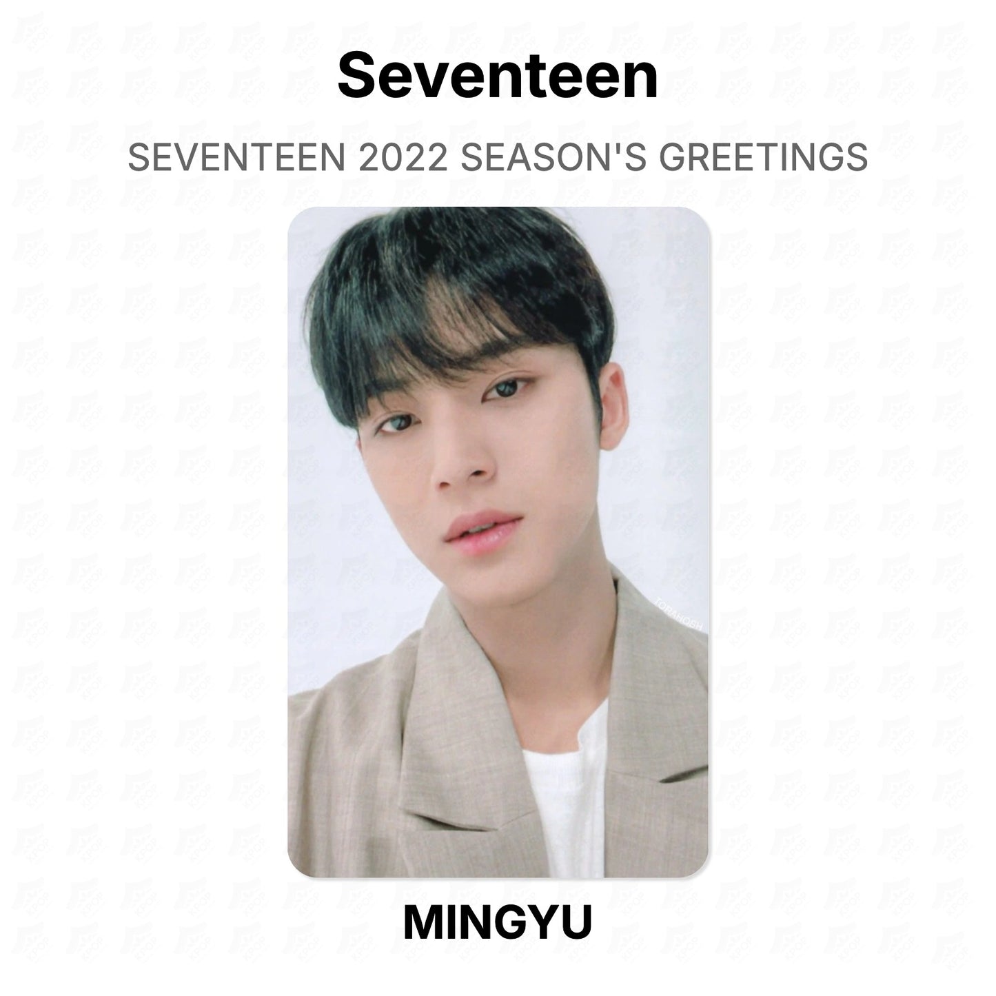 Seventeen 2022 SEASON'S GREETINGS Official Photocard
