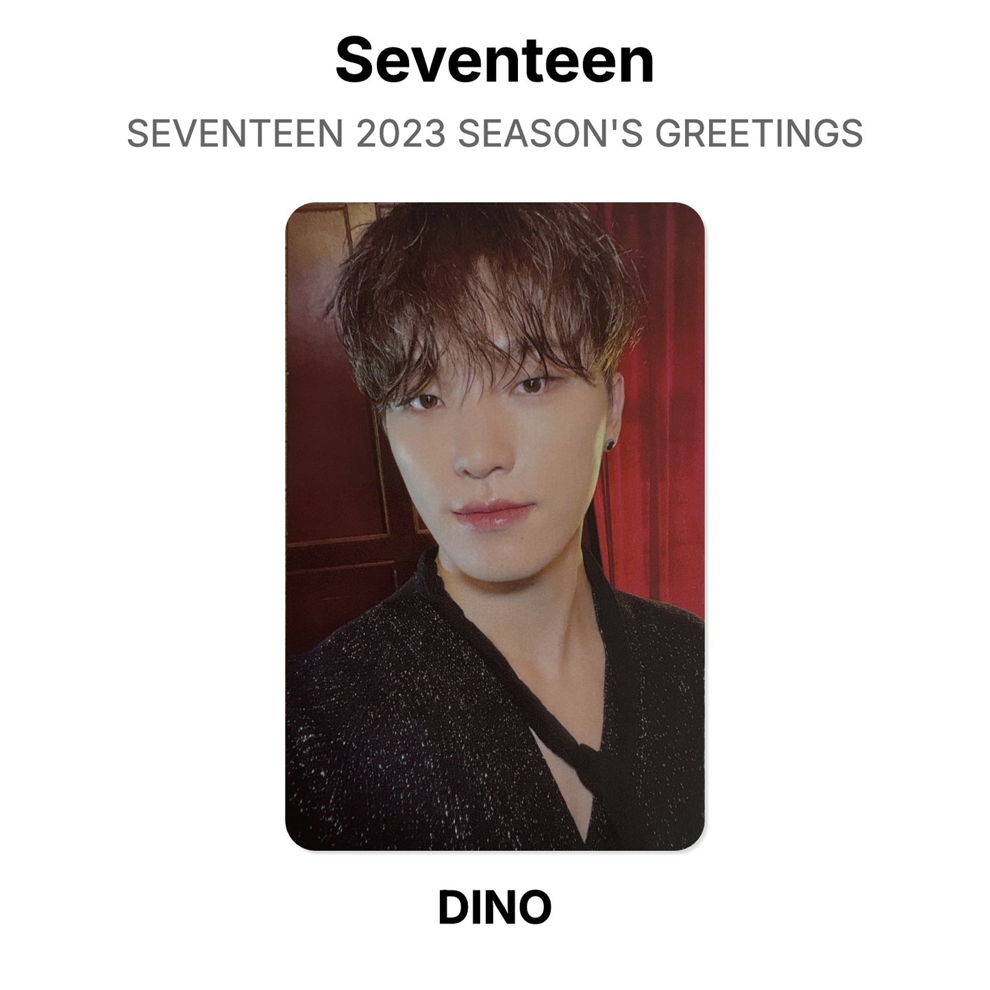 Seventeen SEVENTEEN 2023 SEASON'S GREETINGS Official Photocard