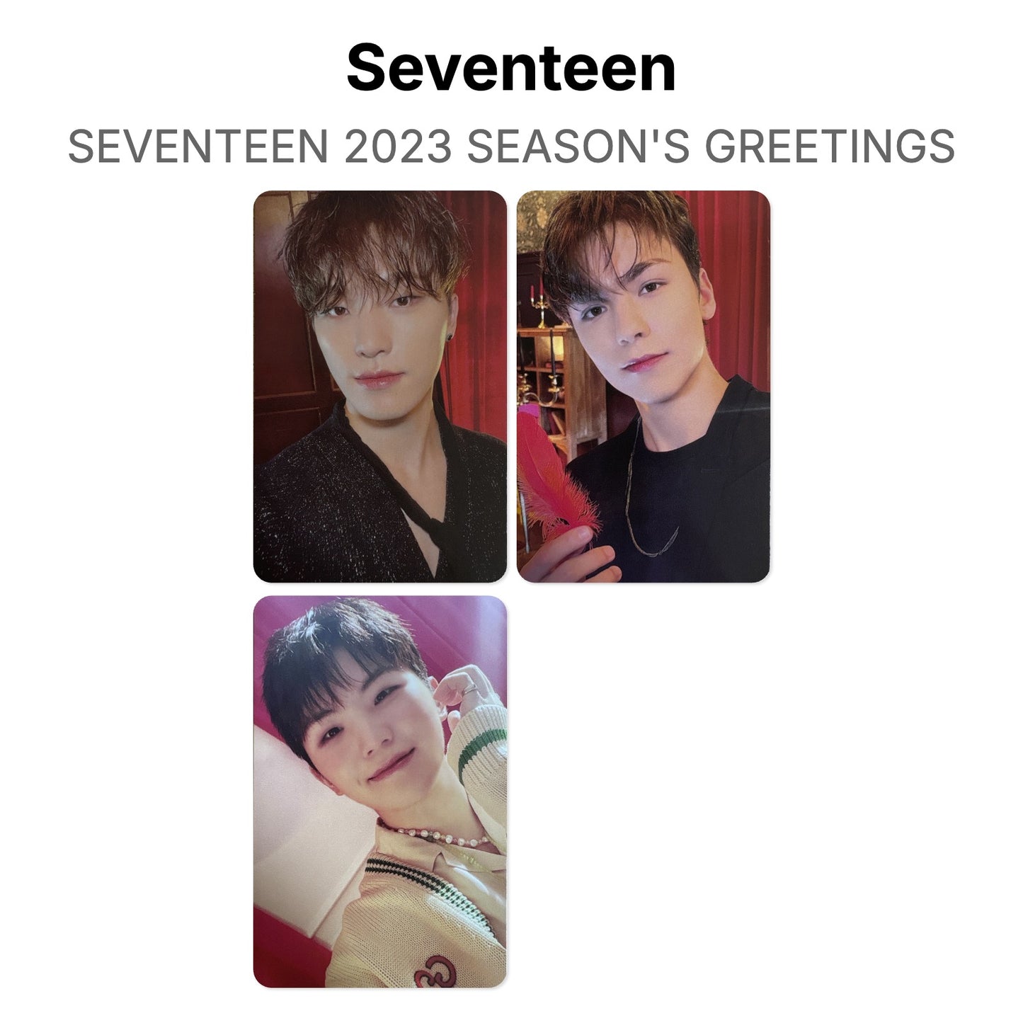 Seventeen SEVENTEEN 2023 SEASON'S GREETINGS Official Photocard