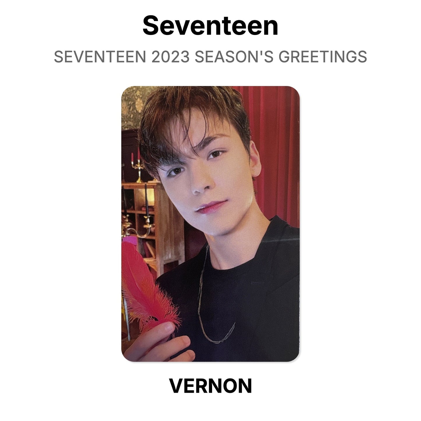 Seventeen SEVENTEEN 2023 SEASON'S GREETINGS Official Photocard