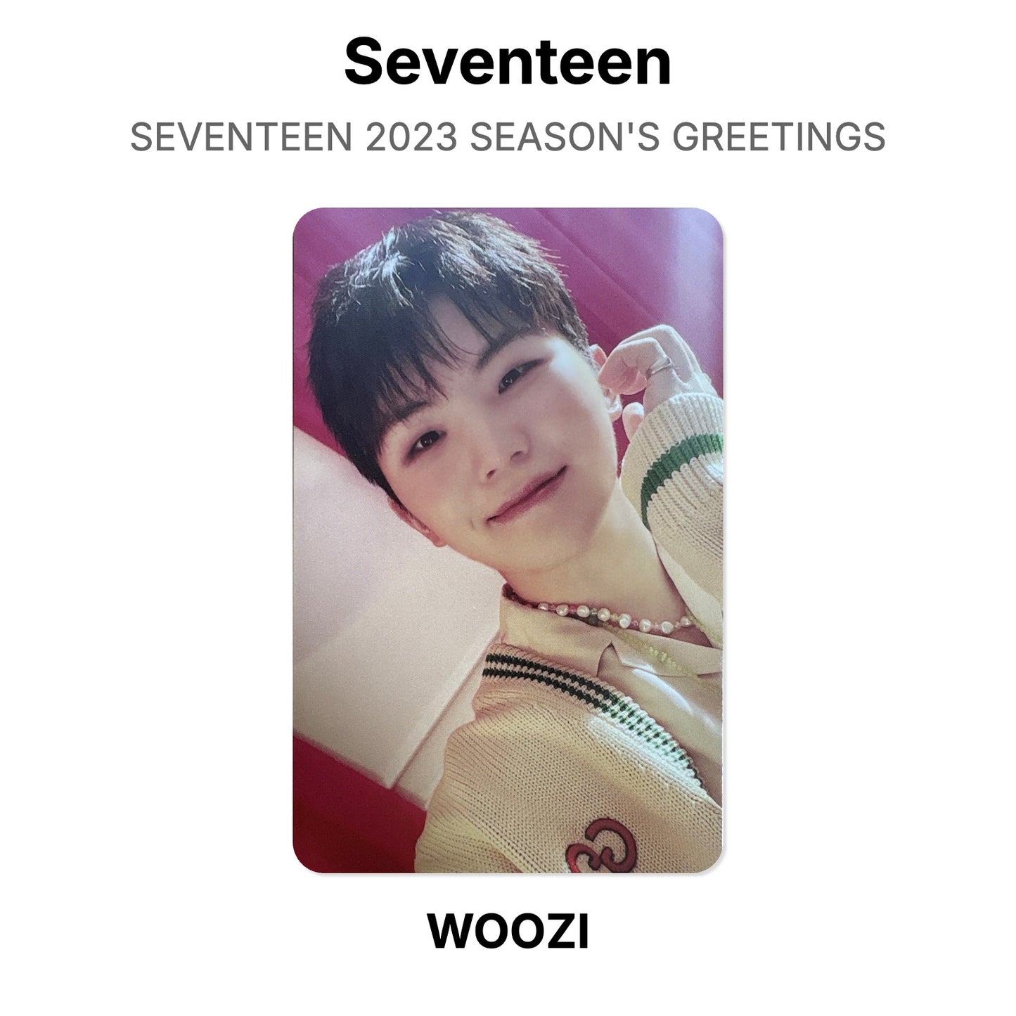 Seventeen SEVENTEEN 2023 SEASON'S GREETINGS Official Photocard