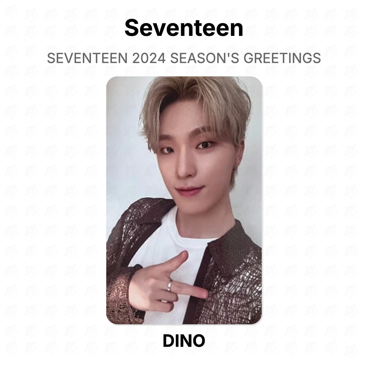 Seventeen 2024 SEASON'S GREETINGS Official Photocard