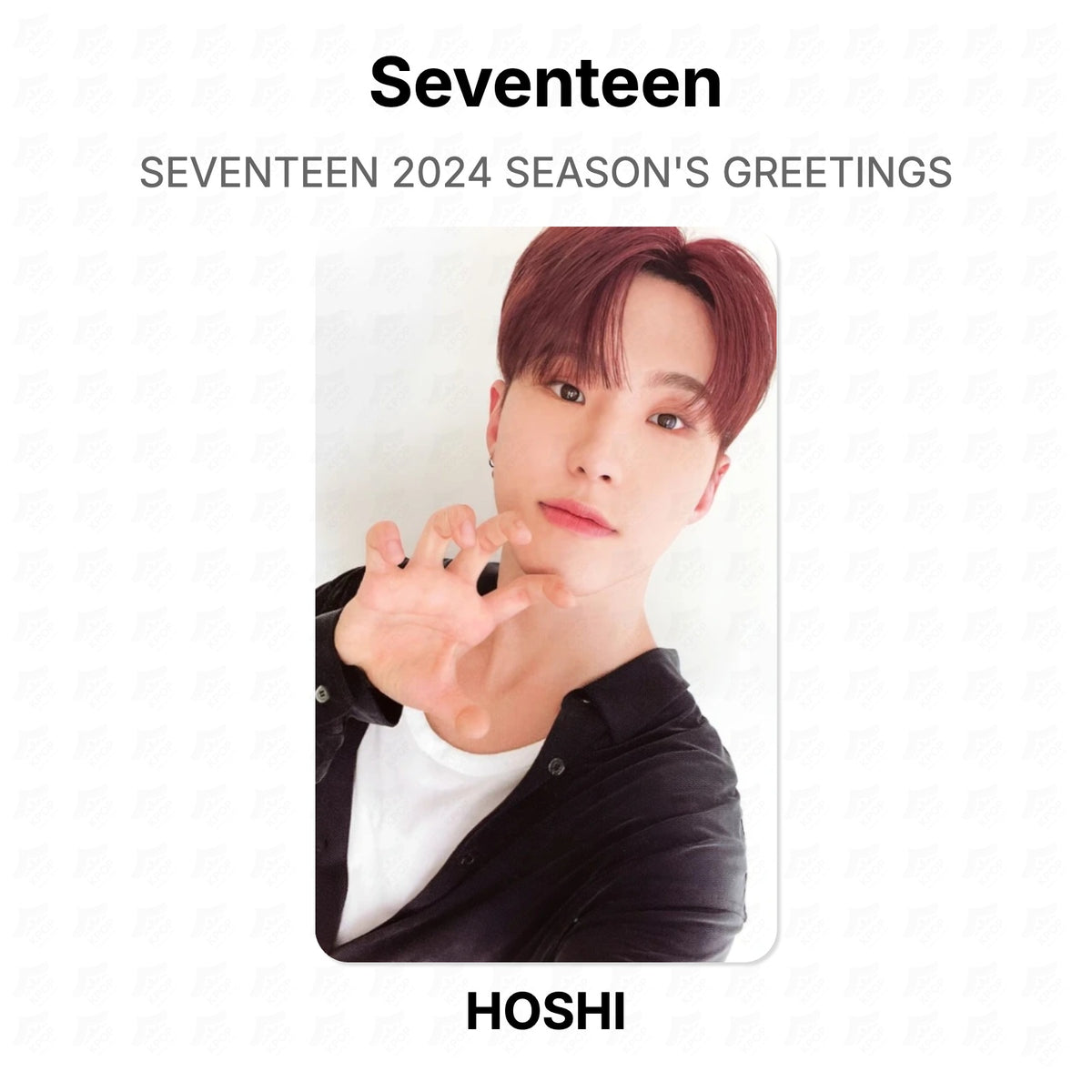 Seventeen 2024 SEASON'S GREETINGS Official Photocard