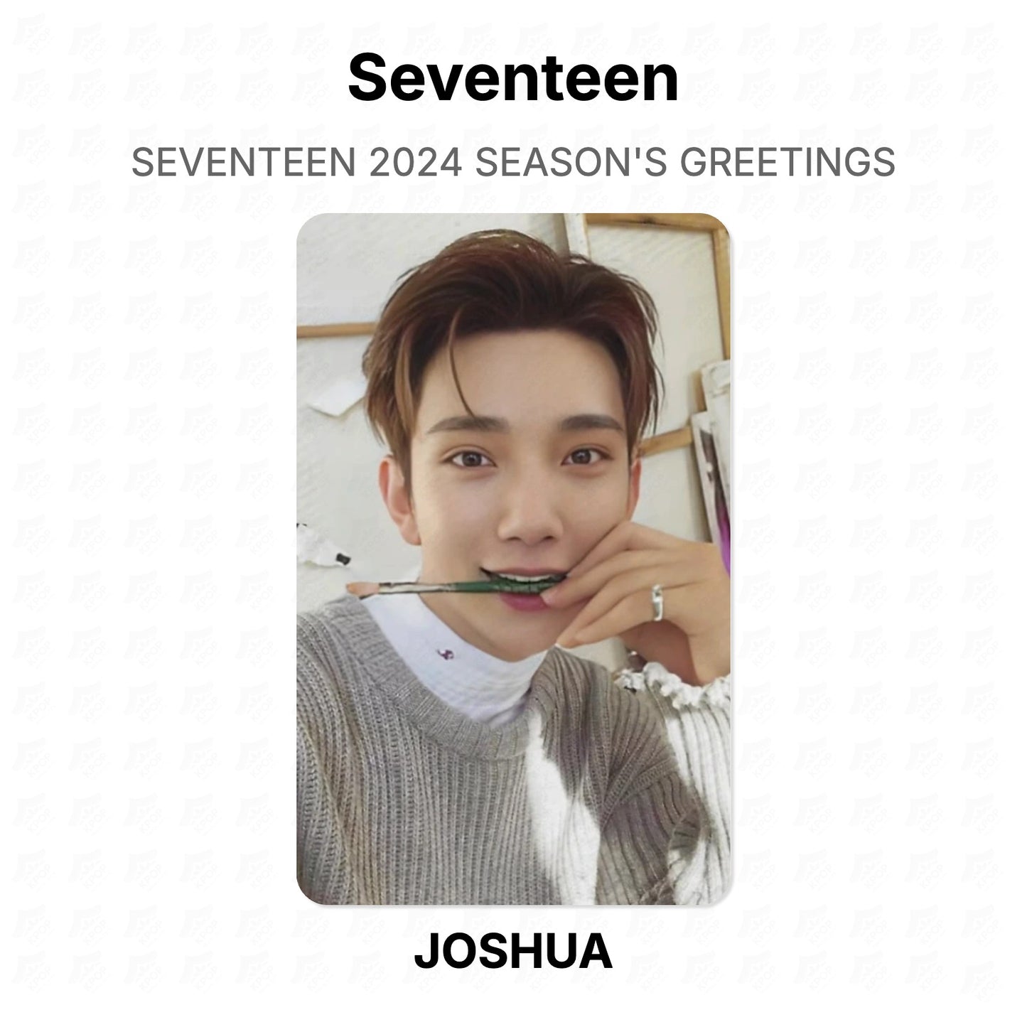 Seventeen 2024 SEASON'S GREETINGS Official Photocard