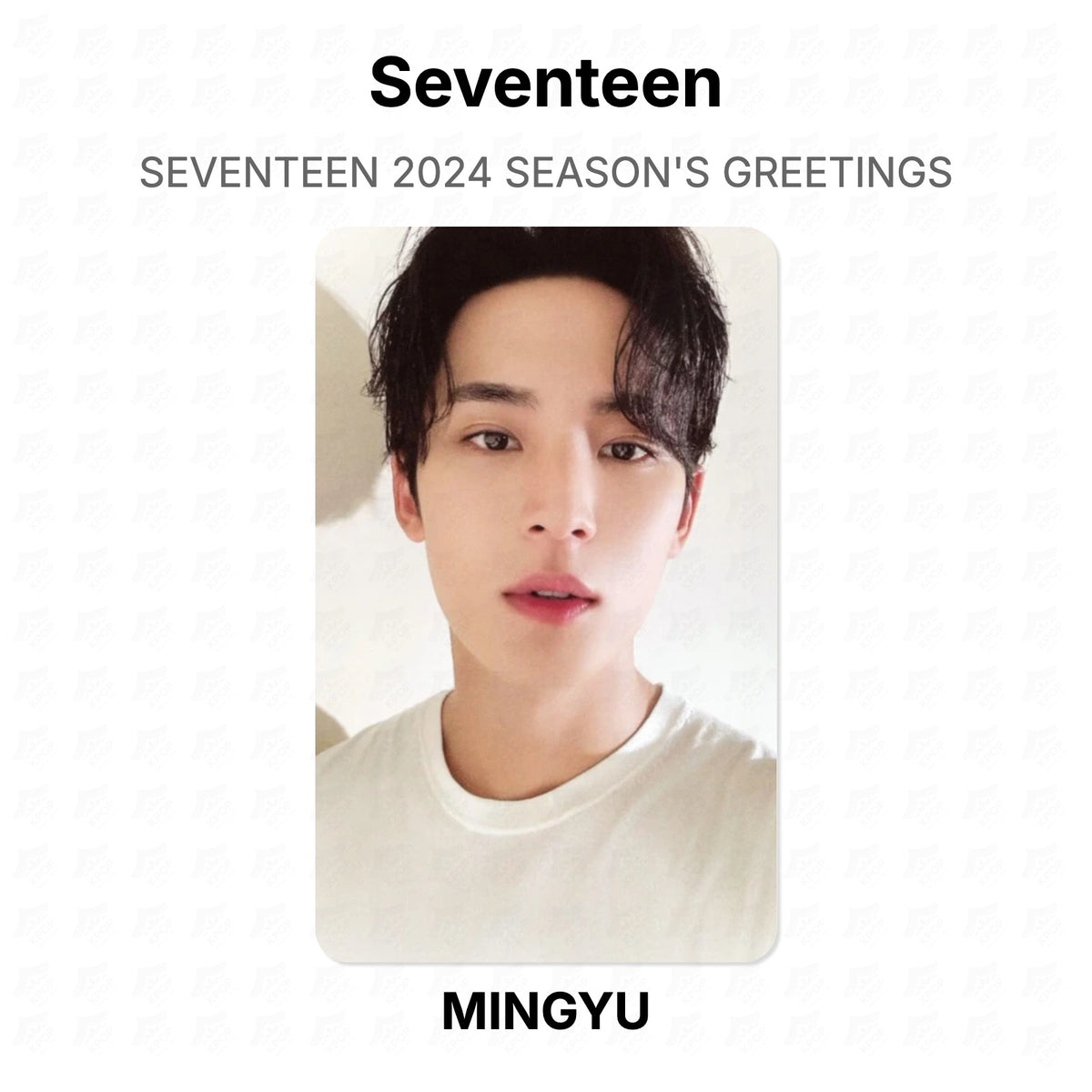 Seventeen 2024 SEASON'S GREETINGS Official Photocard