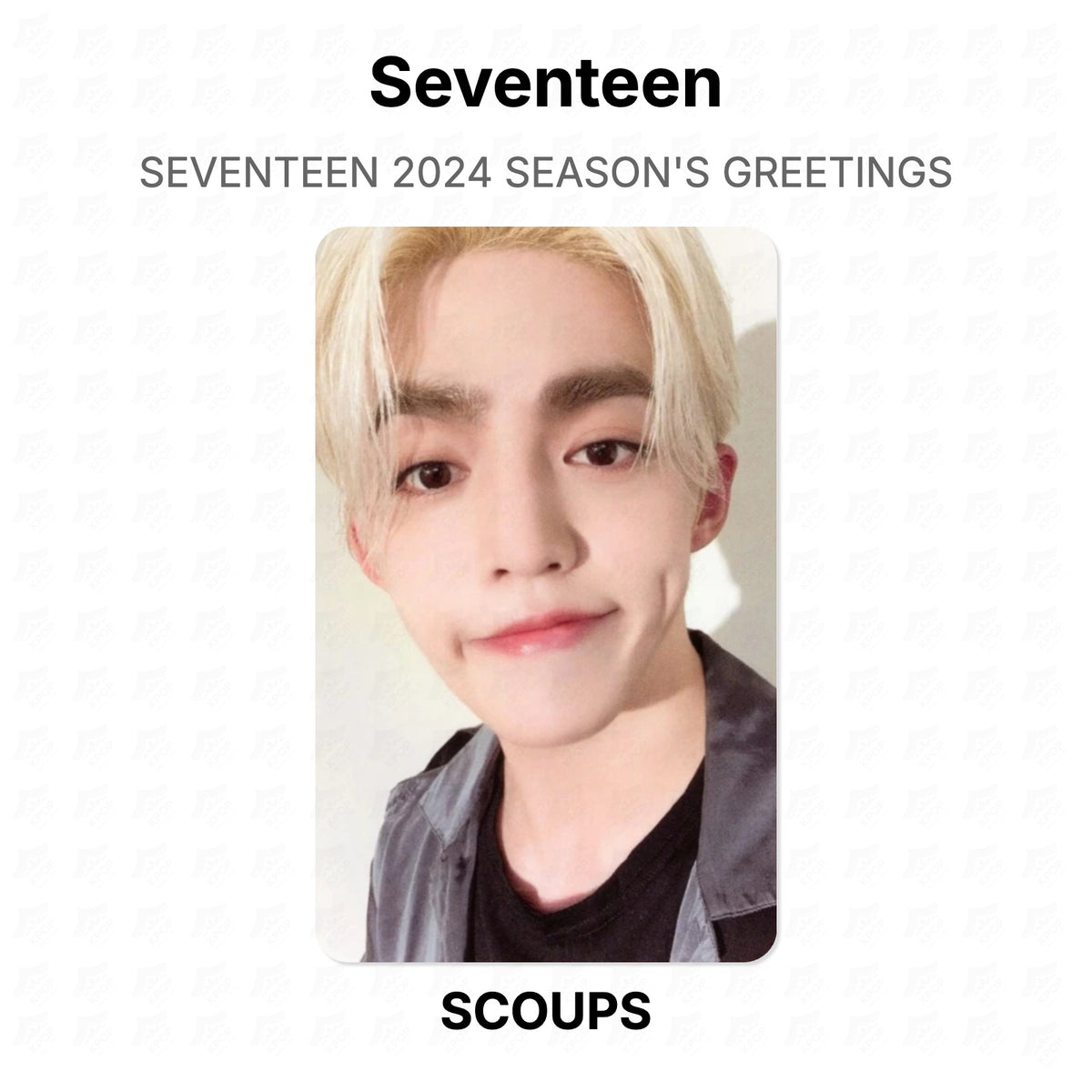 Seventeen 2024 SEASON'S GREETINGS Official Photocard