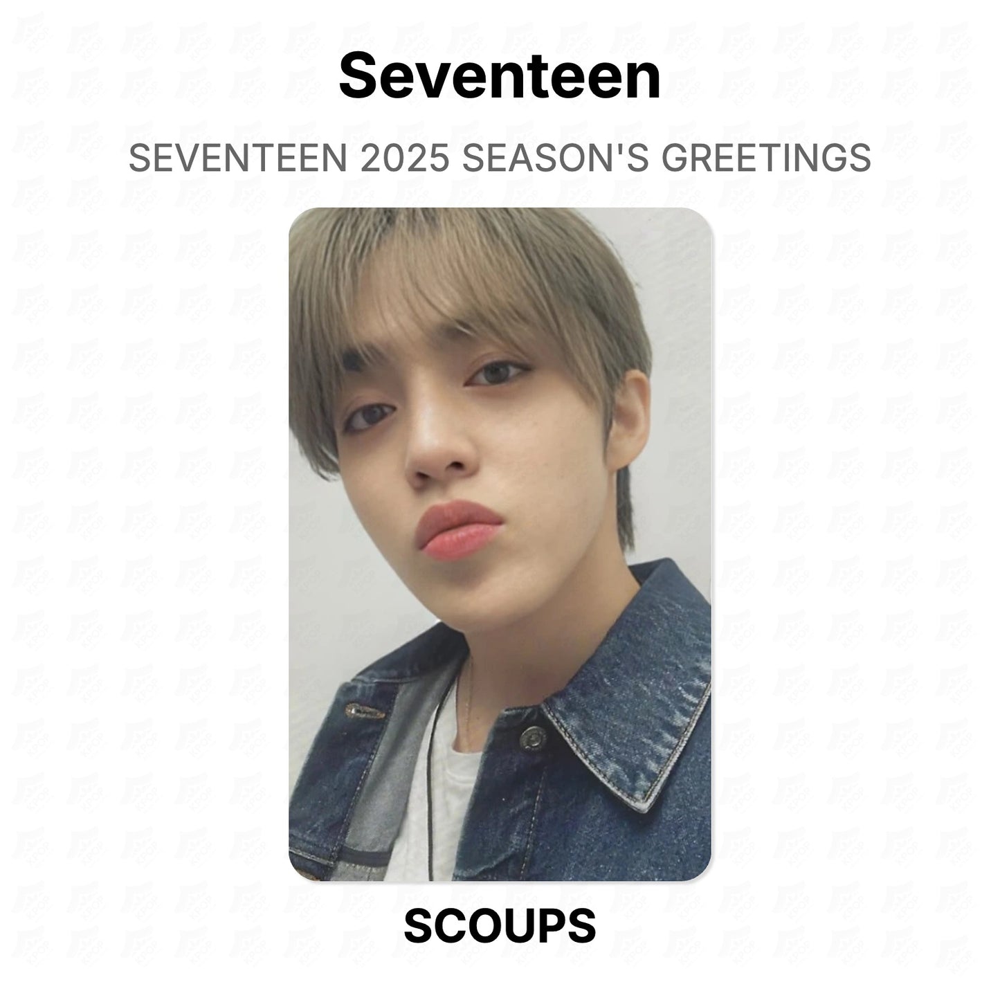 Seventeen 2025 SEASON'S GREETINGS Official Photocard