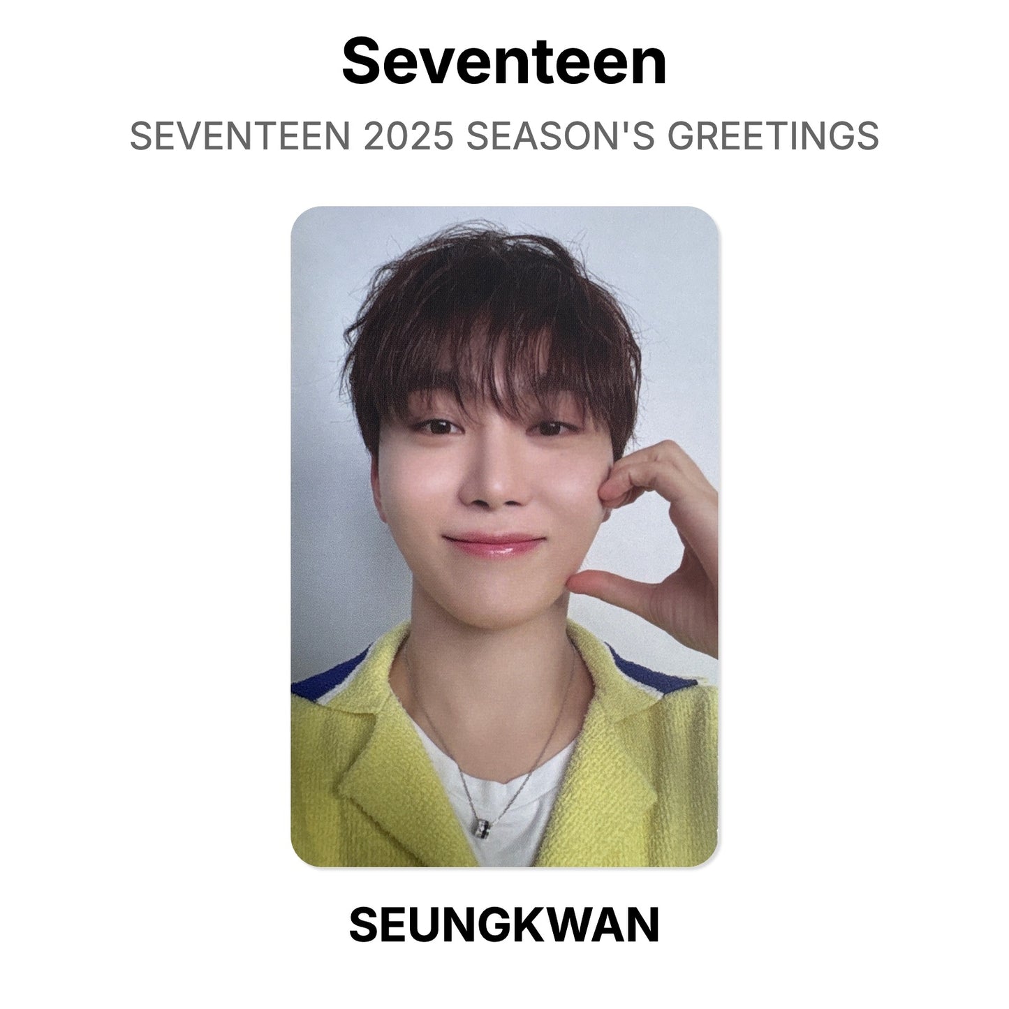 Seventeen SEVENTEEN 2025 SEASON'S GREETINGS photocard oficial