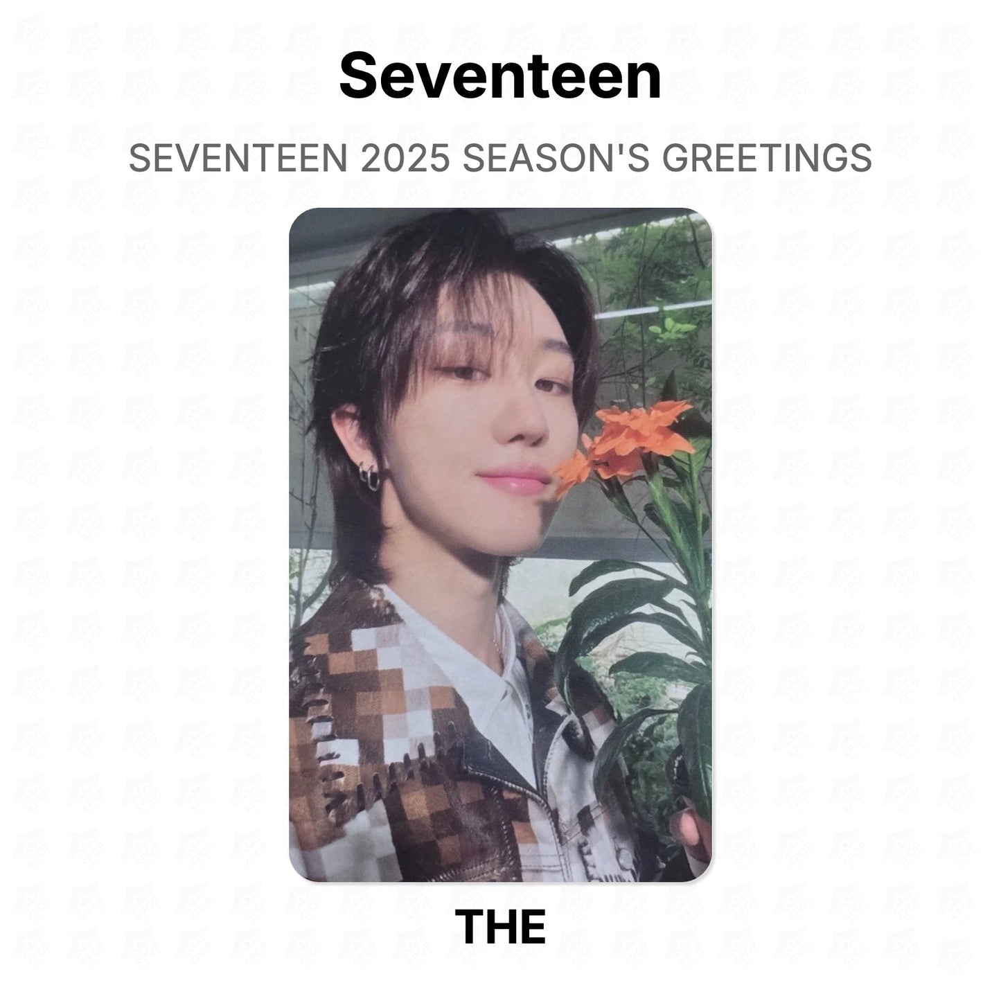 Seventeen 2025 SEASON'S GREETINGS Official Photocard