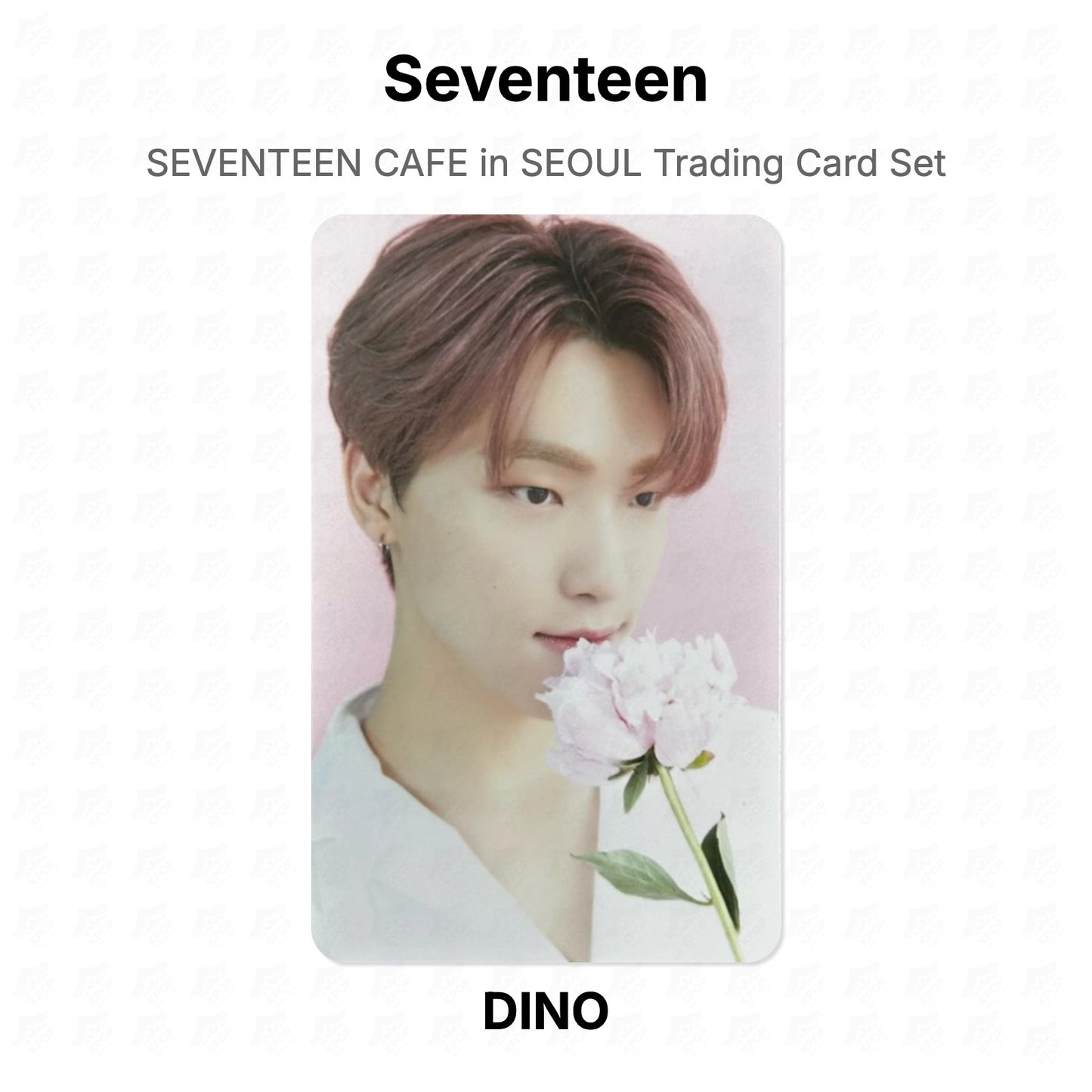 Seventeen CAFE in SEOUL Trading Card Set Official Photocard