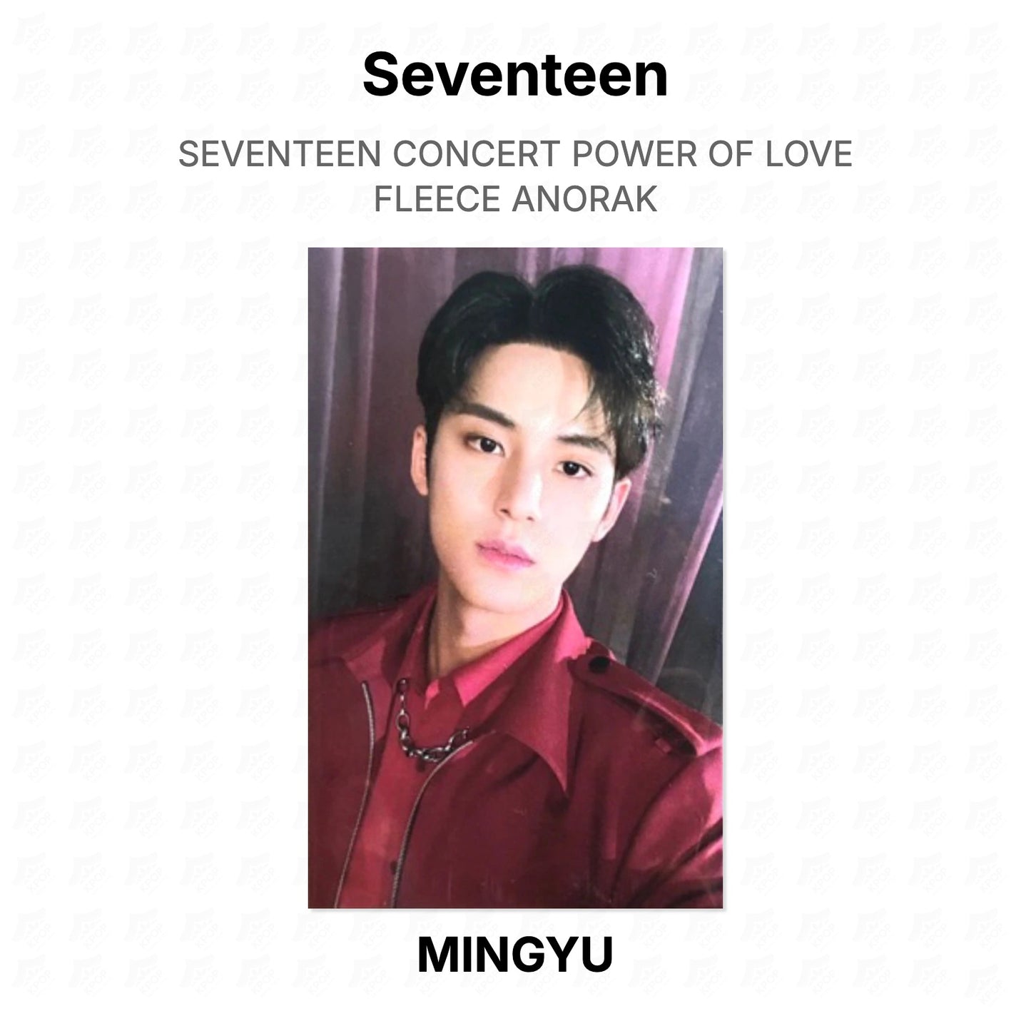 Seventeen CONCERT POWER OF LOVE FLEECE ANORAK Official Photocard