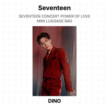 Seventeen CONCERT POWER OF LOVE MINI LUGGAGE BAG Official Photocard