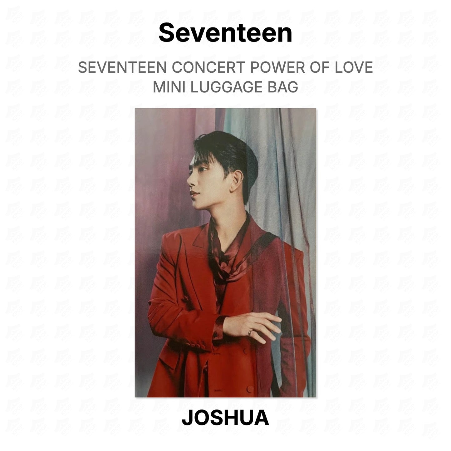 Seventeen CONCERT POWER OF LOVE MINI LUGGAGE BAG Official Photocard