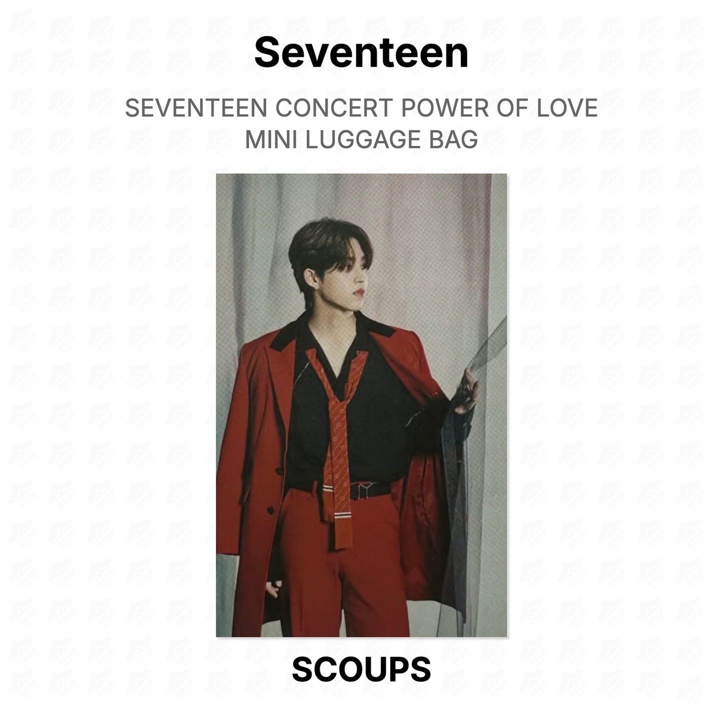 Seventeen CONCERT POWER OF LOVE MINI LUGGAGE BAG Official Photocard