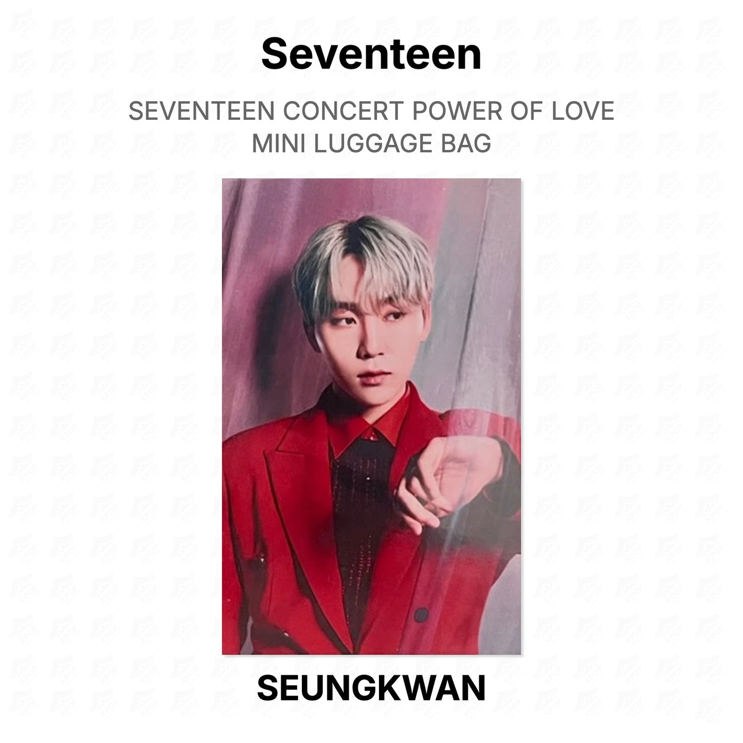 Seventeen CONCERT POWER OF LOVE MINI LUGGAGE BAG Official Photocard