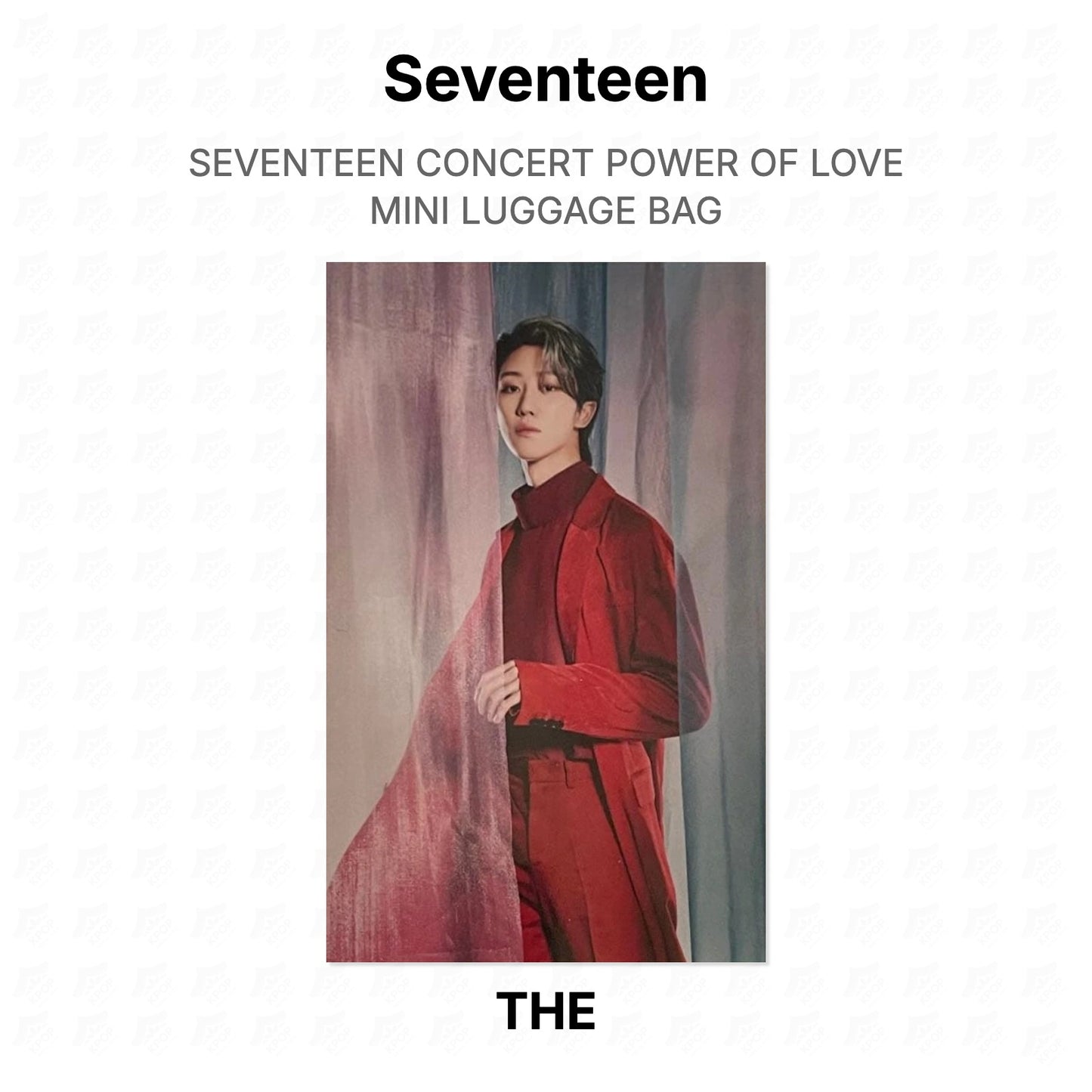 Seventeen CONCERT POWER OF LOVE MINI LUGGAGE BAG Official Photocard