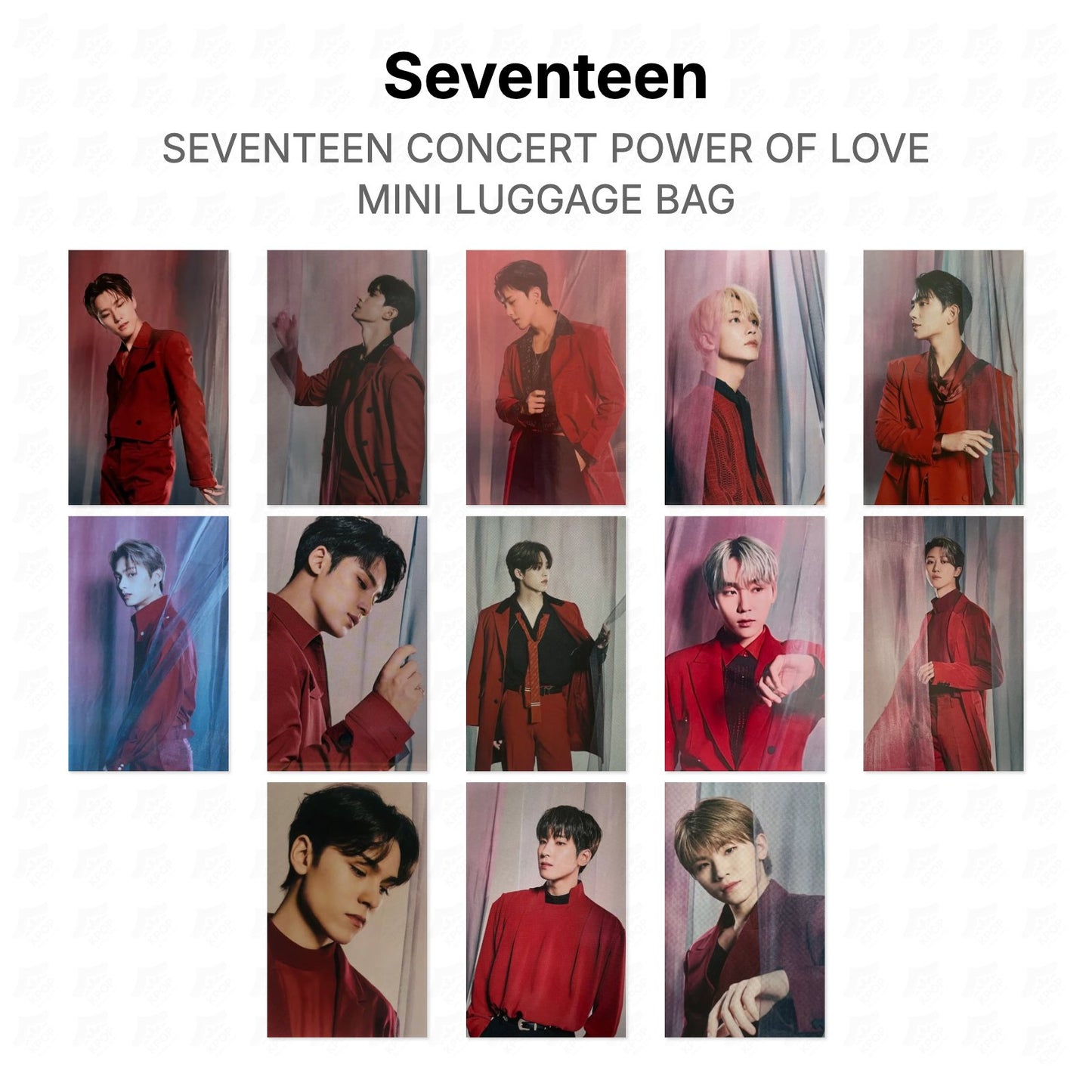 Seventeen CONCERT POWER OF LOVE MINI LUGGAGE BAG Official Photocard