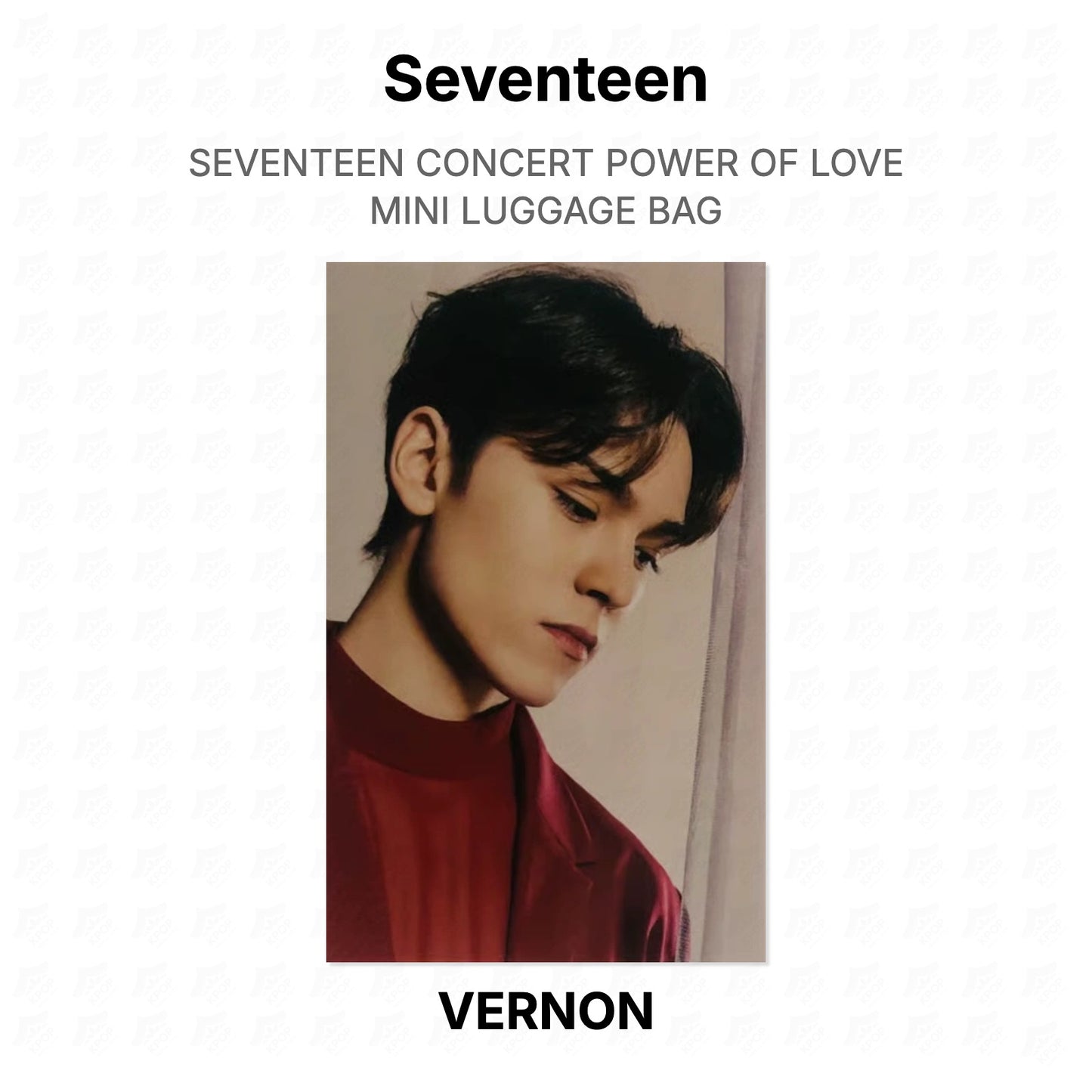 Seventeen CONCERT POWER OF LOVE MINI LUGGAGE BAG Official Photocard