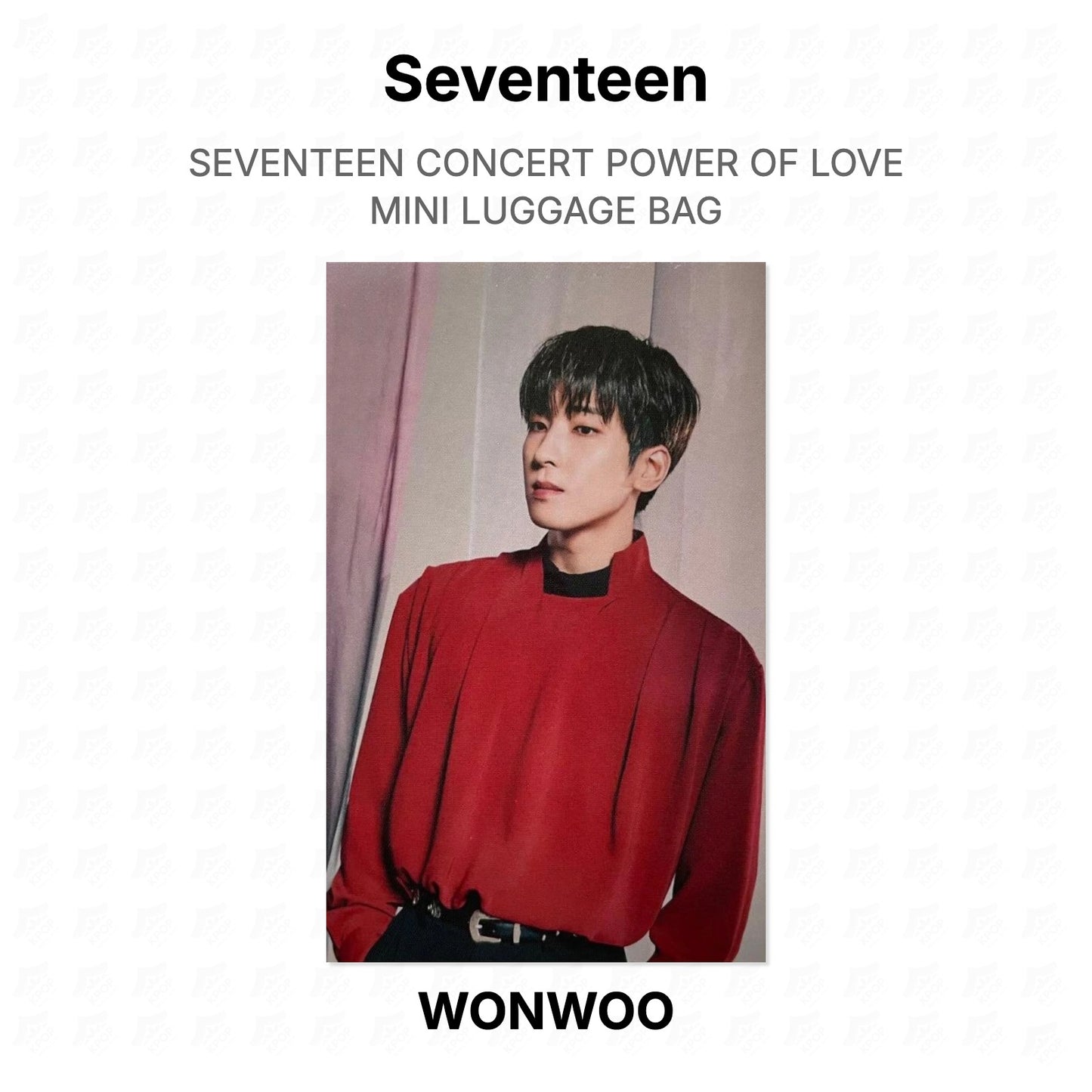 Seventeen CONCERT POWER OF LOVE MINI LUGGAGE BAG Official Photocard