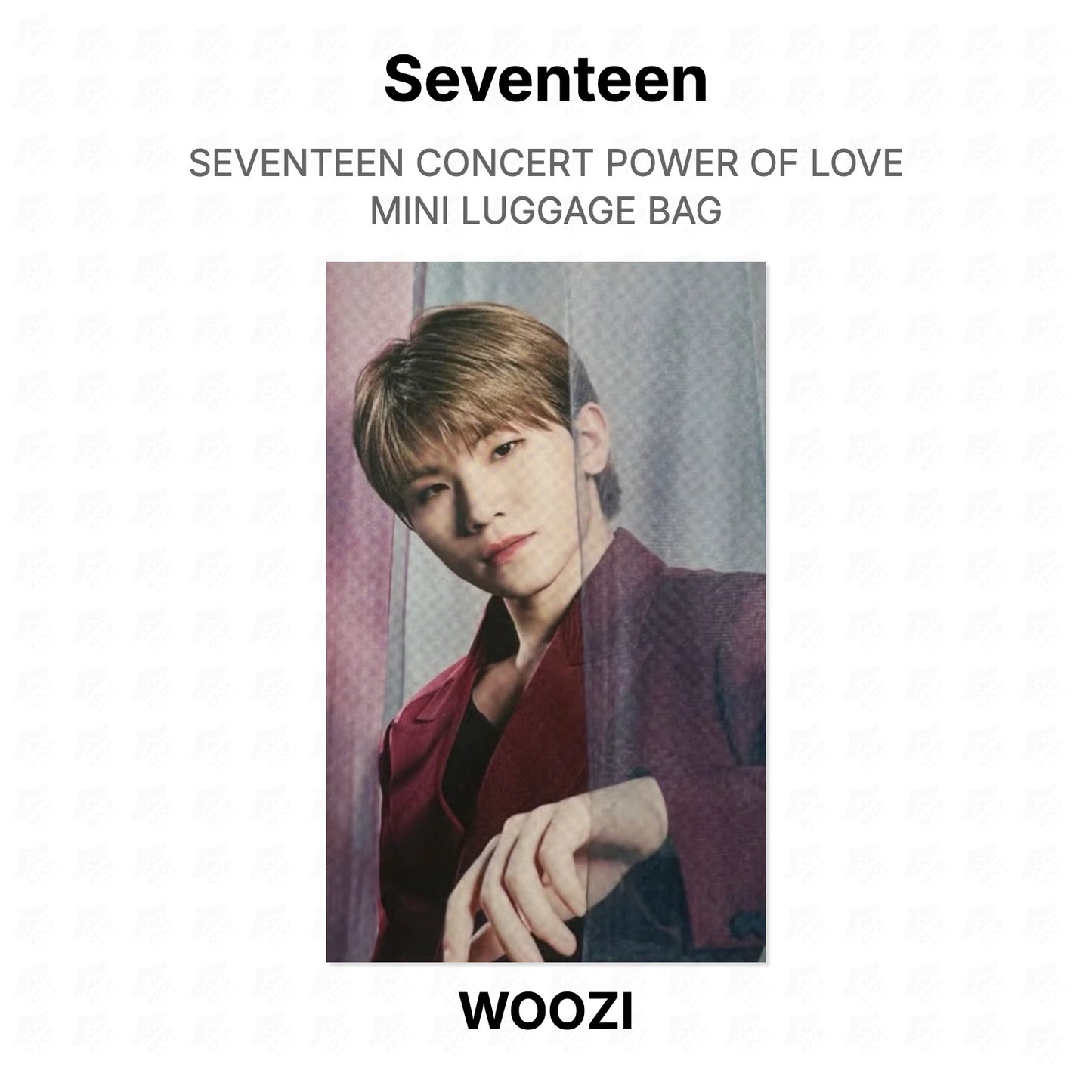 Seventeen CONCERT POWER OF LOVE MINI LUGGAGE BAG Official Photocard
