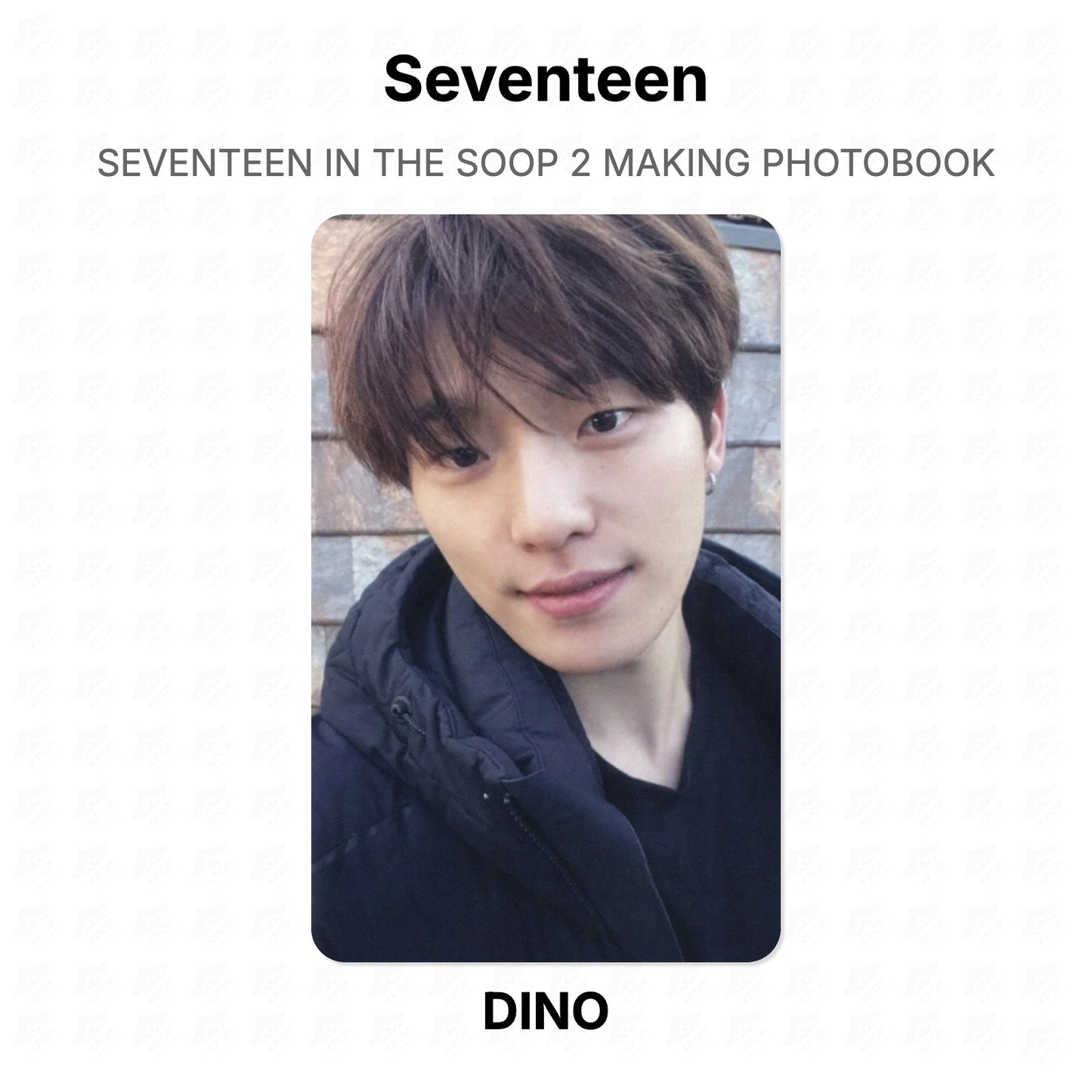 Seventeen IN THE SOOP 2 MAKING PHOTOBOOK Official Photocard