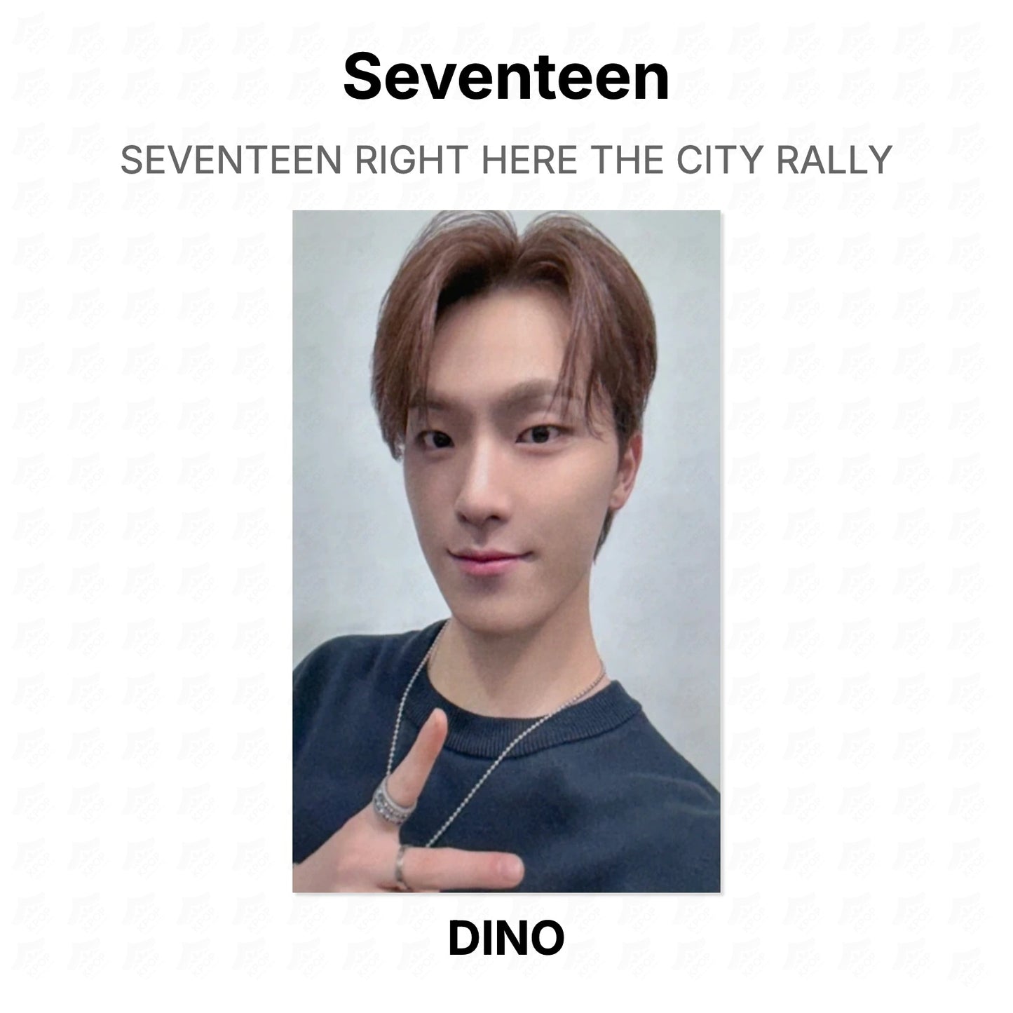 Seventeen RIGHT HERE THE CITY RALLY Official Photocard