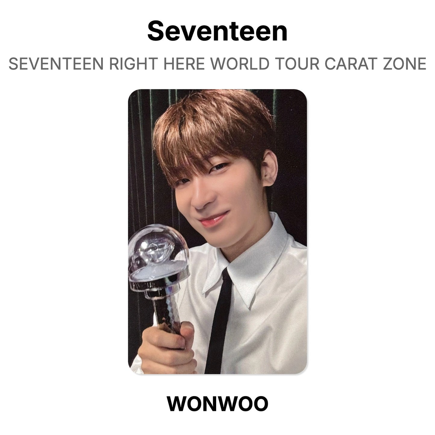 Seventeen SEVENTEEN RIGHT HERE WORLD TOUR CARAT ZONE Official Photocard