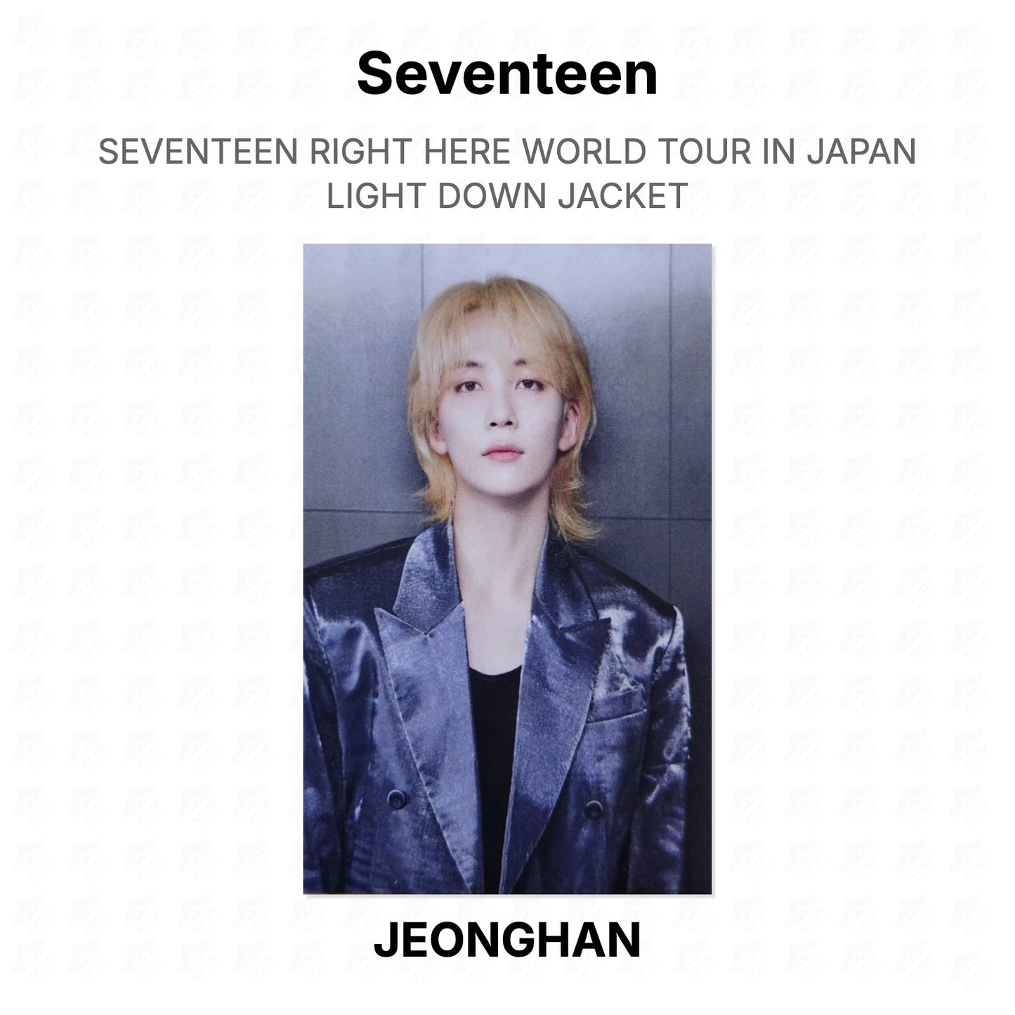 Seventeen RIGHT HERE WORLD TOUR IN JAPAN LIGHT DOWN JACKET Official Photocard