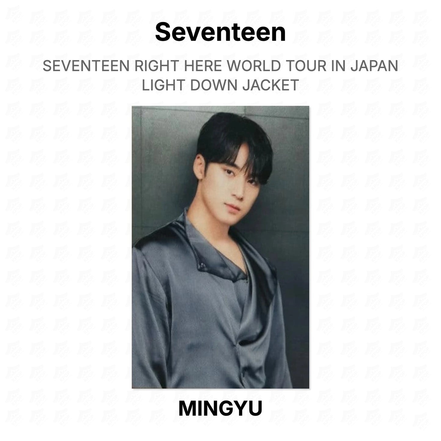 Seventeen RIGHT HERE WORLD TOUR IN JAPAN LIGHT DOWN JACKET Official Photocard