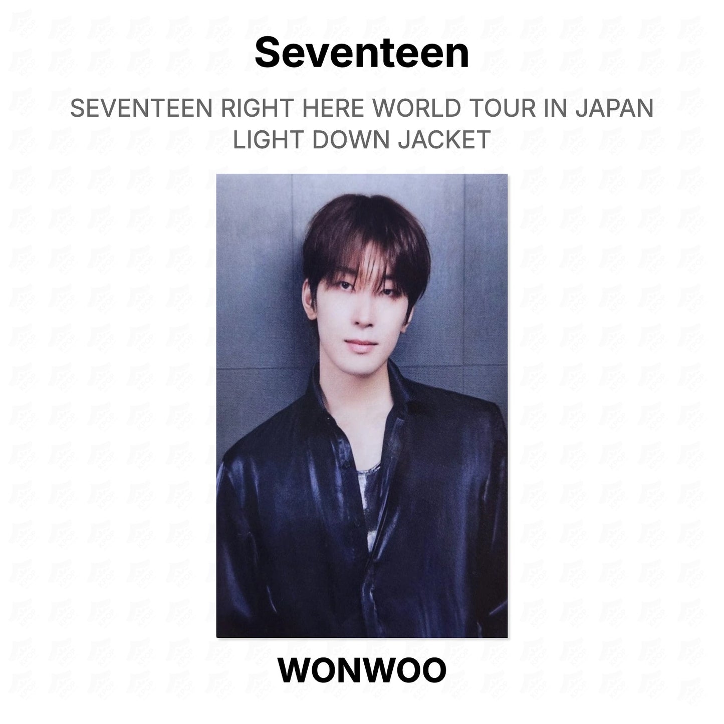 Seventeen RIGHT HERE WORLD TOUR IN JAPAN LIGHT DOWN JACKET Official Photocard