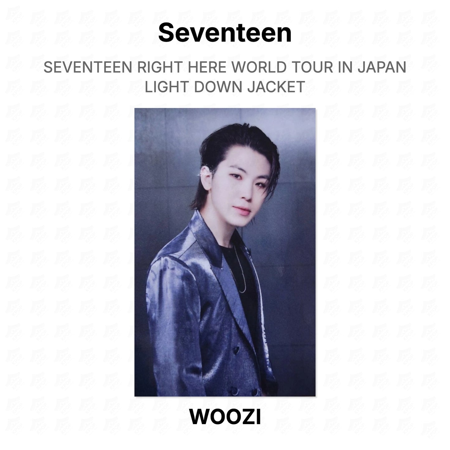 Seventeen RIGHT HERE WORLD TOUR IN JAPAN LIGHT DOWN JACKET Official Photocard