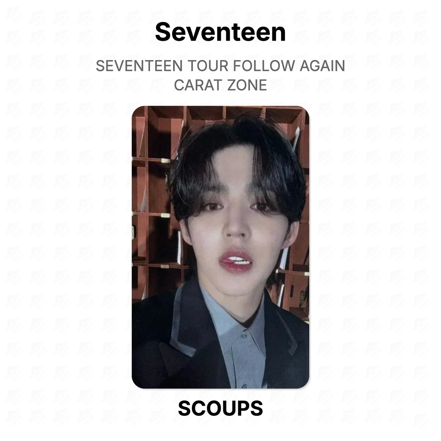 Seventeen TOUR FOLLOW AGAIN CARAT ZONE Official Photocard