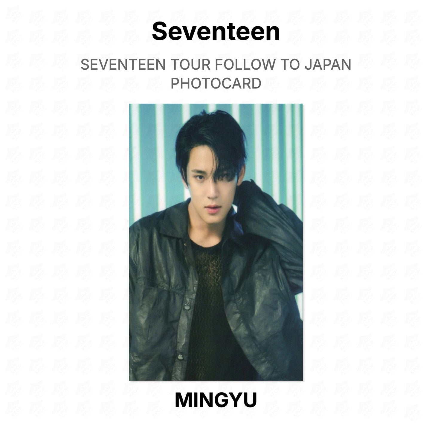 Seventeen TOUR FOLLOW TO JAPAN PHOTOCARD Official Photocard