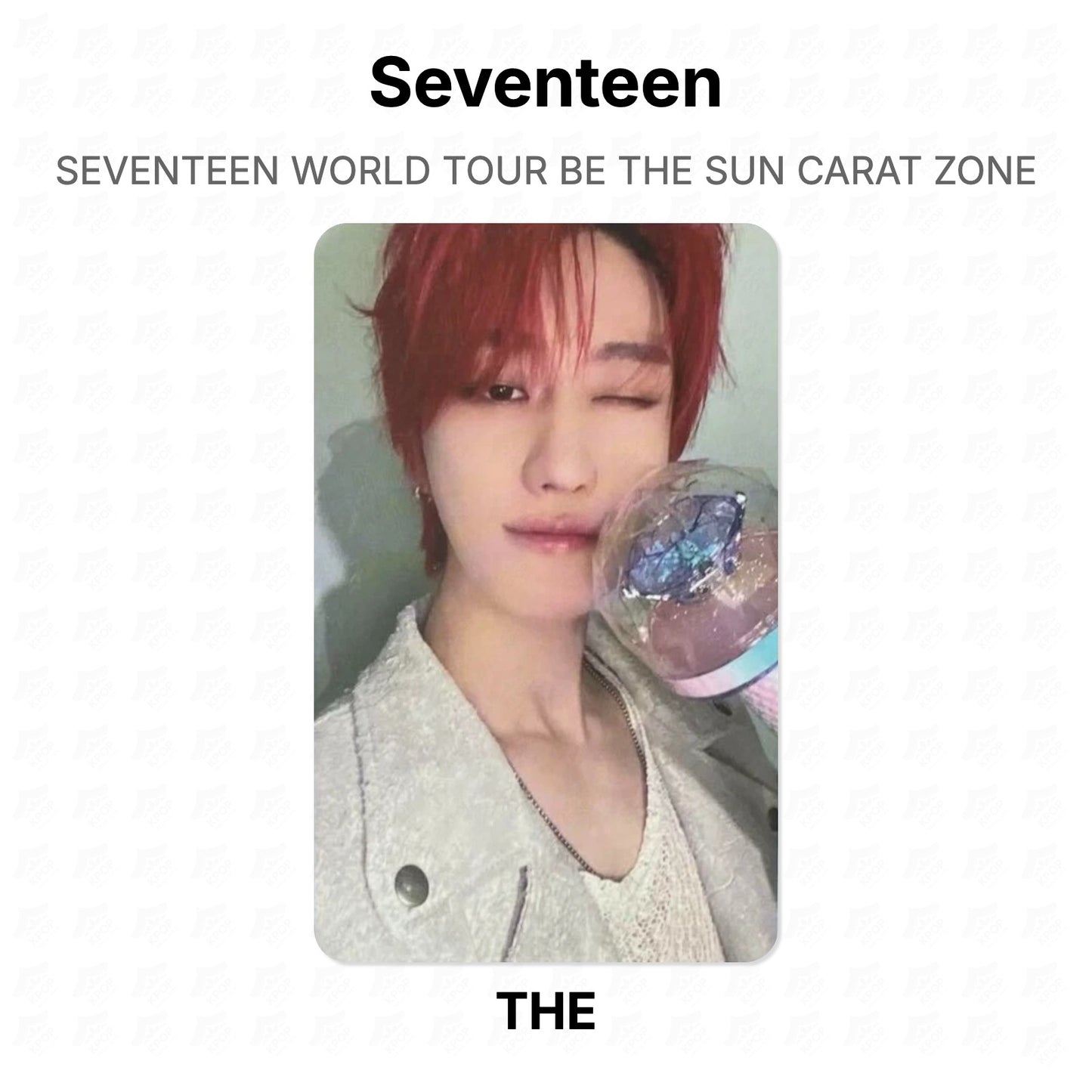 Seventeen WORLD TOUR BE THE SUN CARAT ZONE Official Photocard