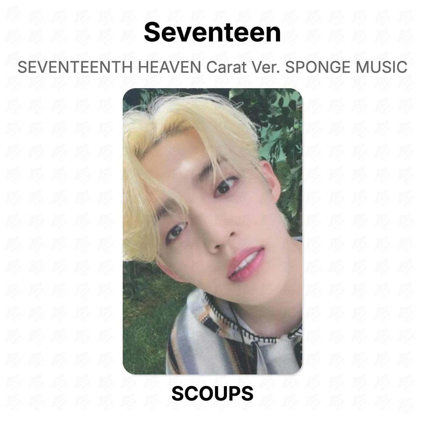 Seventeen SEVENTEENTH HEAVEN Carat Ver. SPONGE MUSIC Official Photocard