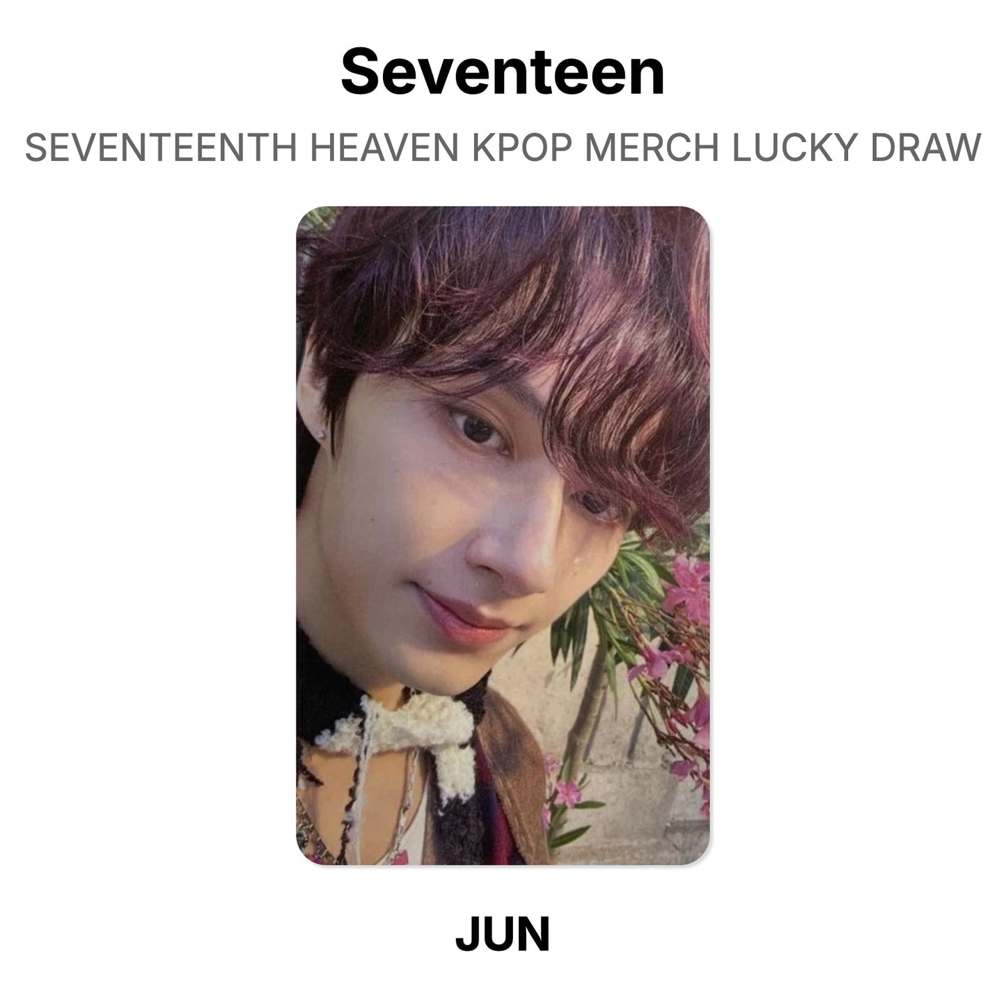 Seventeen SEVENTEENTH HEAVEN KPOP MERCH LUCKY DRAW Official Photocard