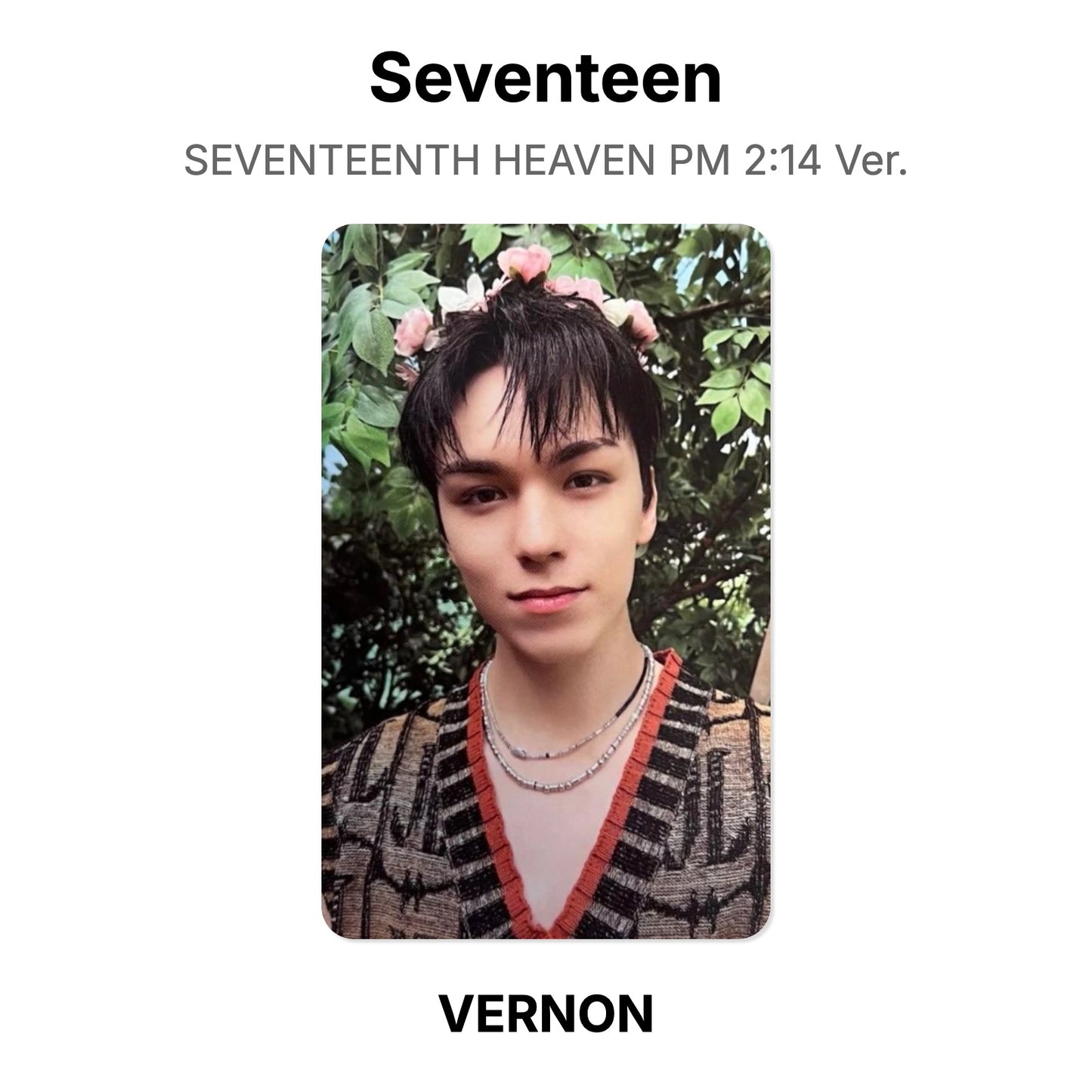 Seventeen SEVENTEENTH HEAVEN PM 2:14 Ver. photocard ufficiale