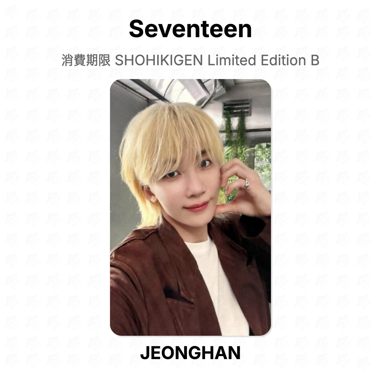 Seventeen 消費期限 SHOHIKIGEN Limited Edition B Official Photocard