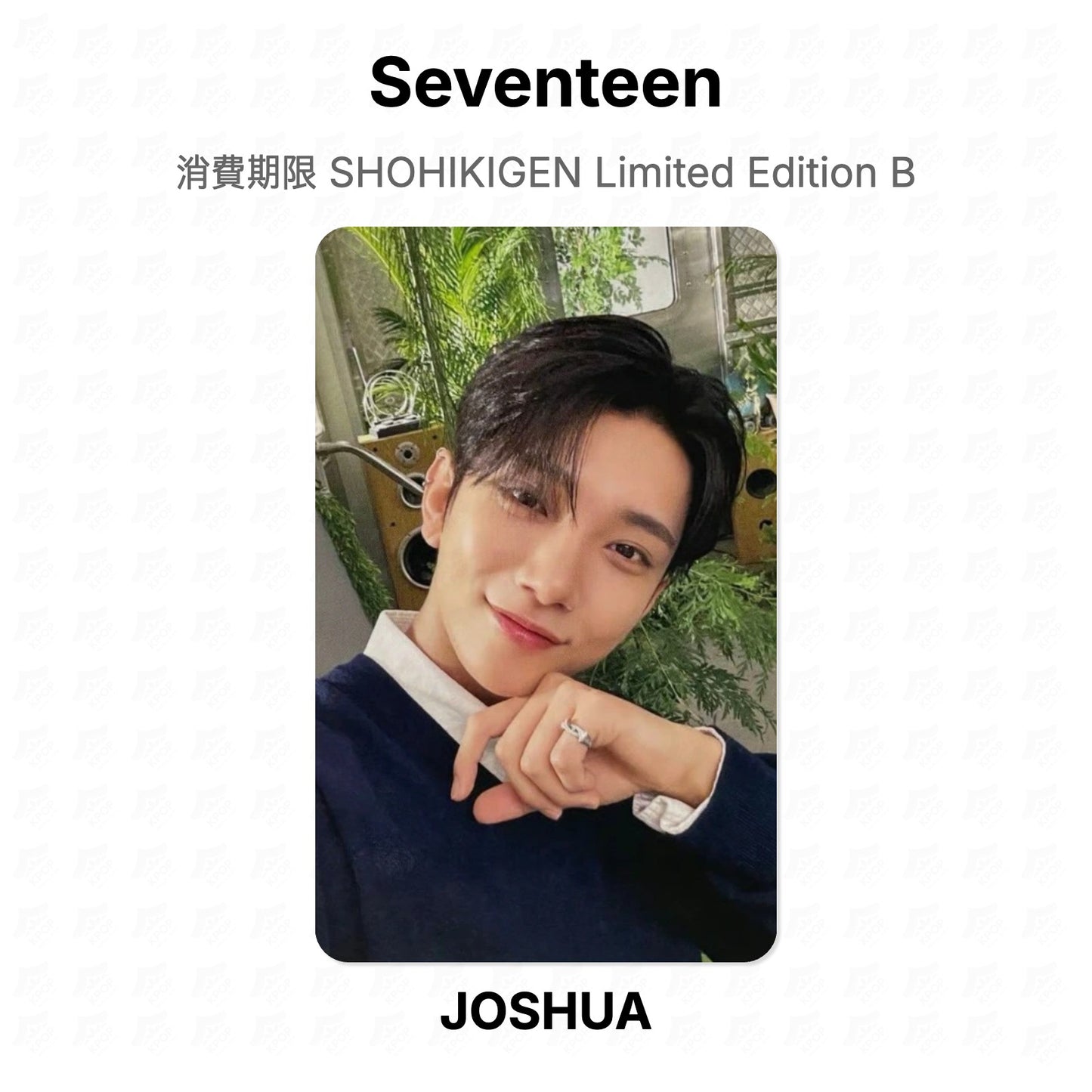 Seventeen 消費期限 SHOHIKIGEN Limited Edition B Official Photocard