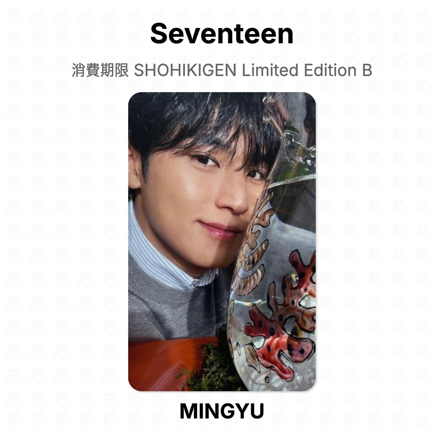 Seventeen 消費期限 SHOHIKIGEN Limited Edition B Official Photocard