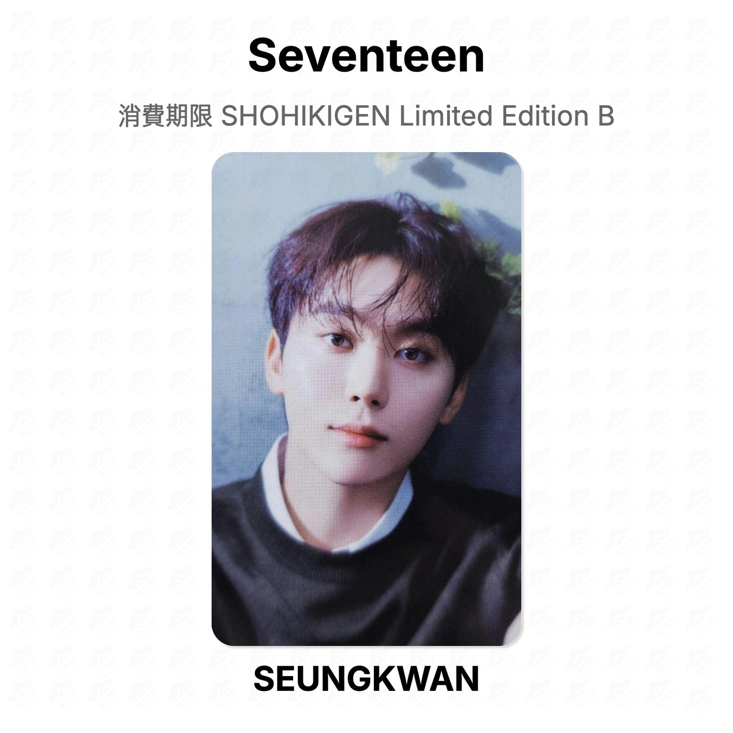 Seventeen 消費期限 SHOHIKIGEN Limited Edition B Official Photocard