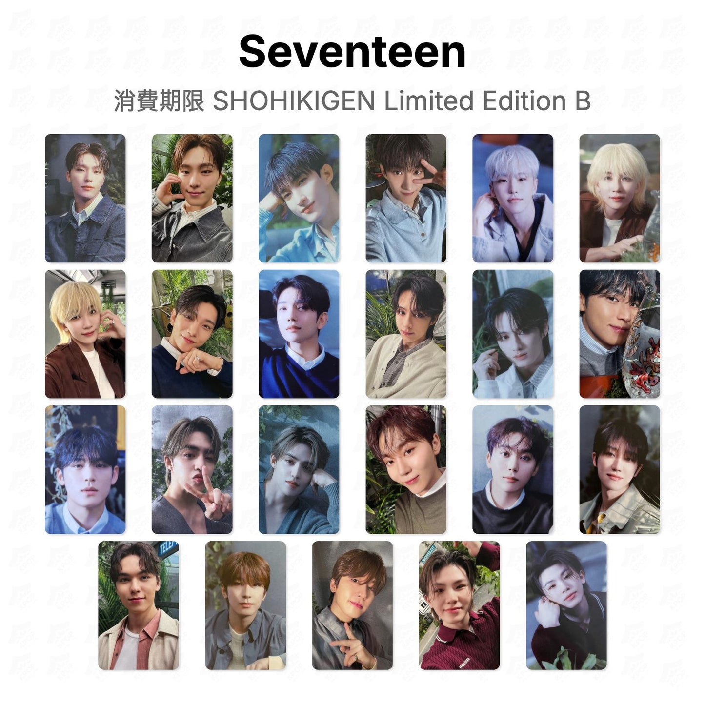 Seventeen 消費期限 SHOHIKIGEN Limited Edition B Official Photocard
