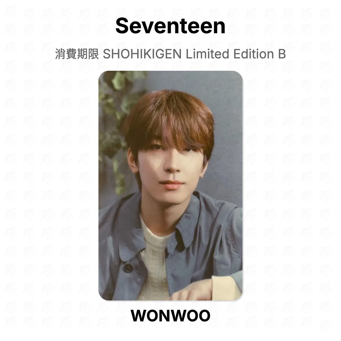 Seventeen 消費期限 SHOHIKIGEN Limited Edition B Official Photocard